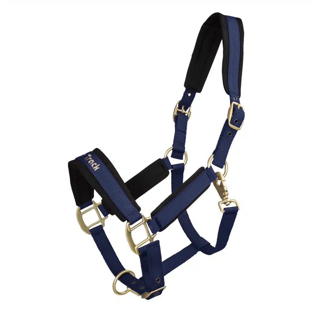 Werano Halter - Back On Track
