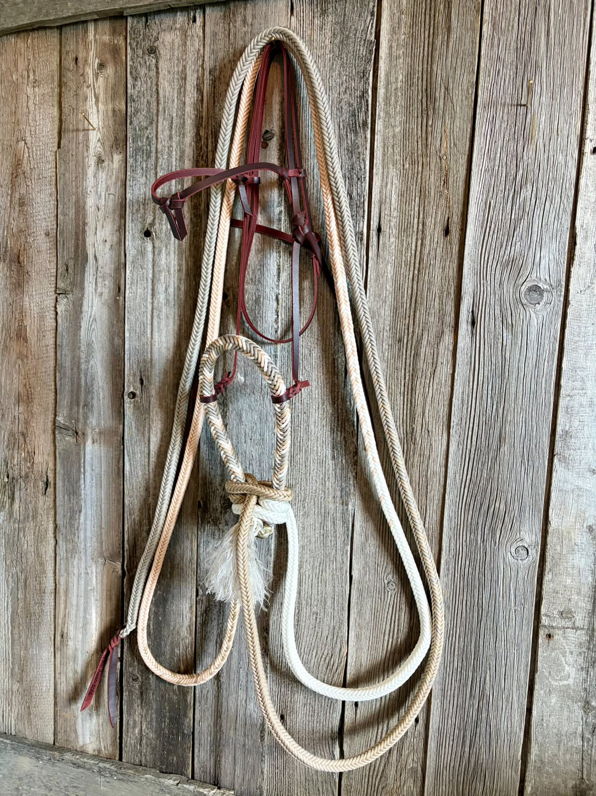 Loping Hackamore et rênes Ombre Mecate de 12 brins de la marque Slippery Moon Mecates, accessoires équestres en fibres.