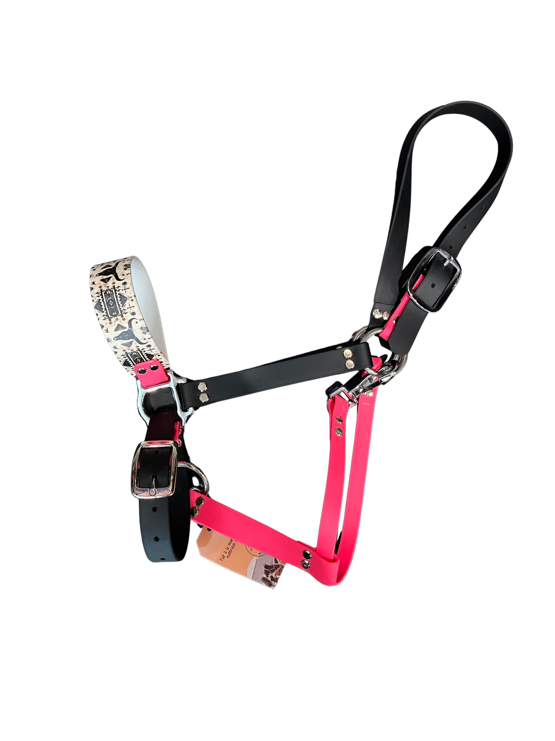 Collier en biothane avec motifs Heritage Tags, accessoire pour animal, design coloré et durable, visible en gros plan.