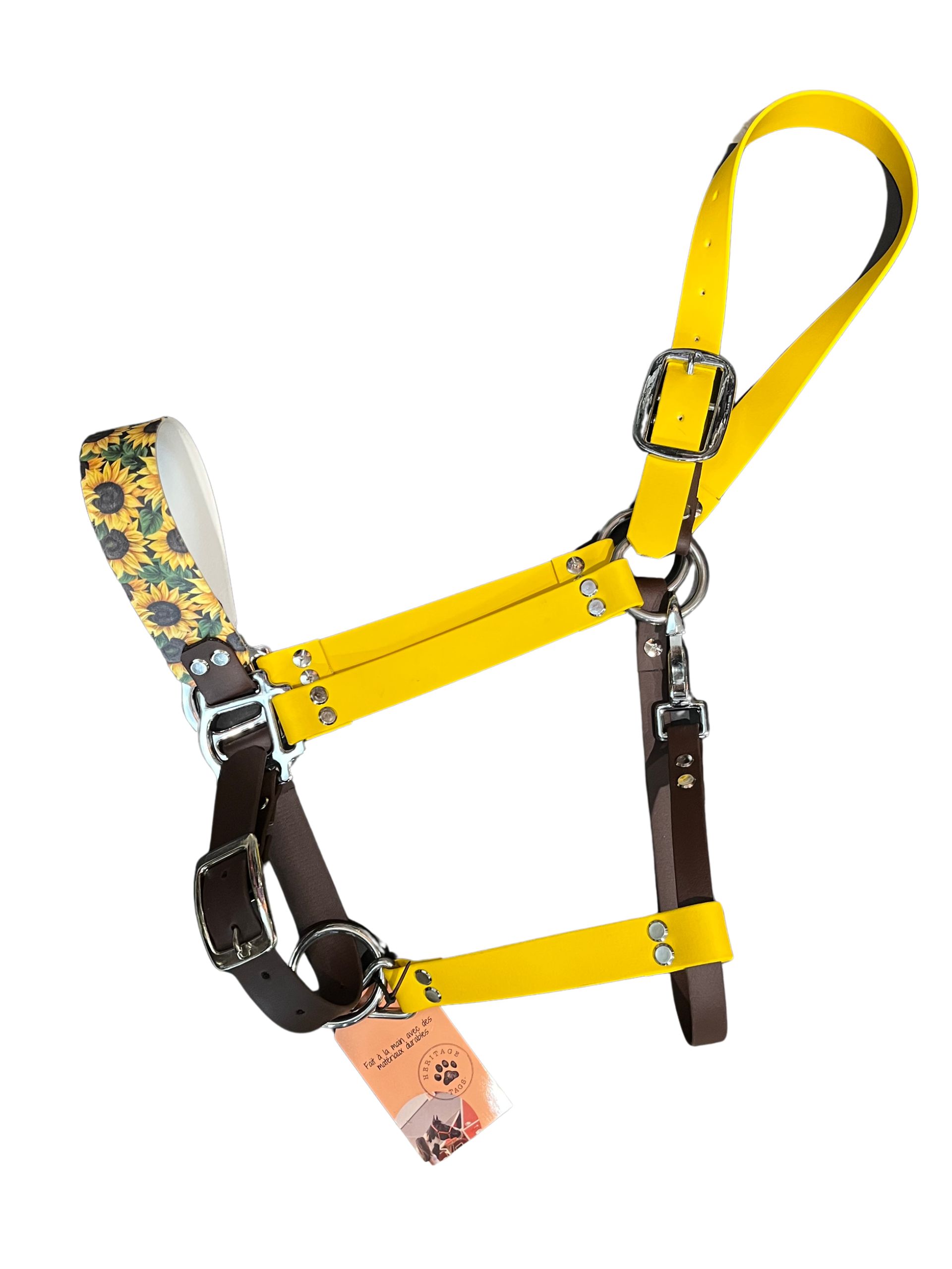 Collier en licou Biothane avec motifs colorés, accessoire de marque Heritage Tags, pour animaux de compagnie.