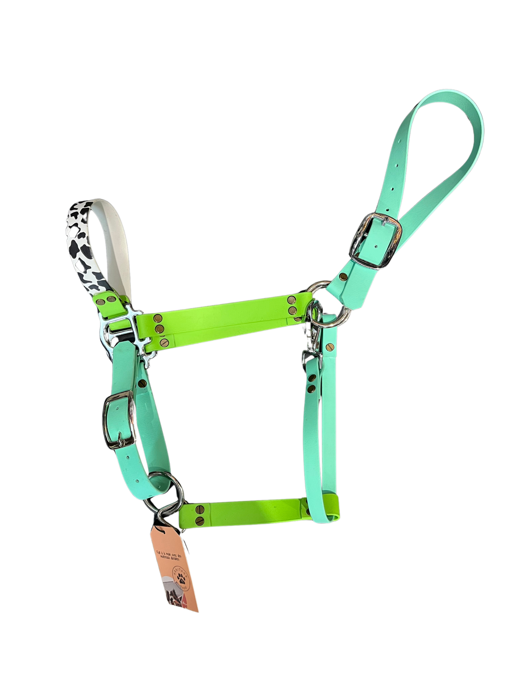 Licou Biothane avec motifs de la marque Heritage Tags, accessoire pour animaux, avec design coloré et détails visibles.
