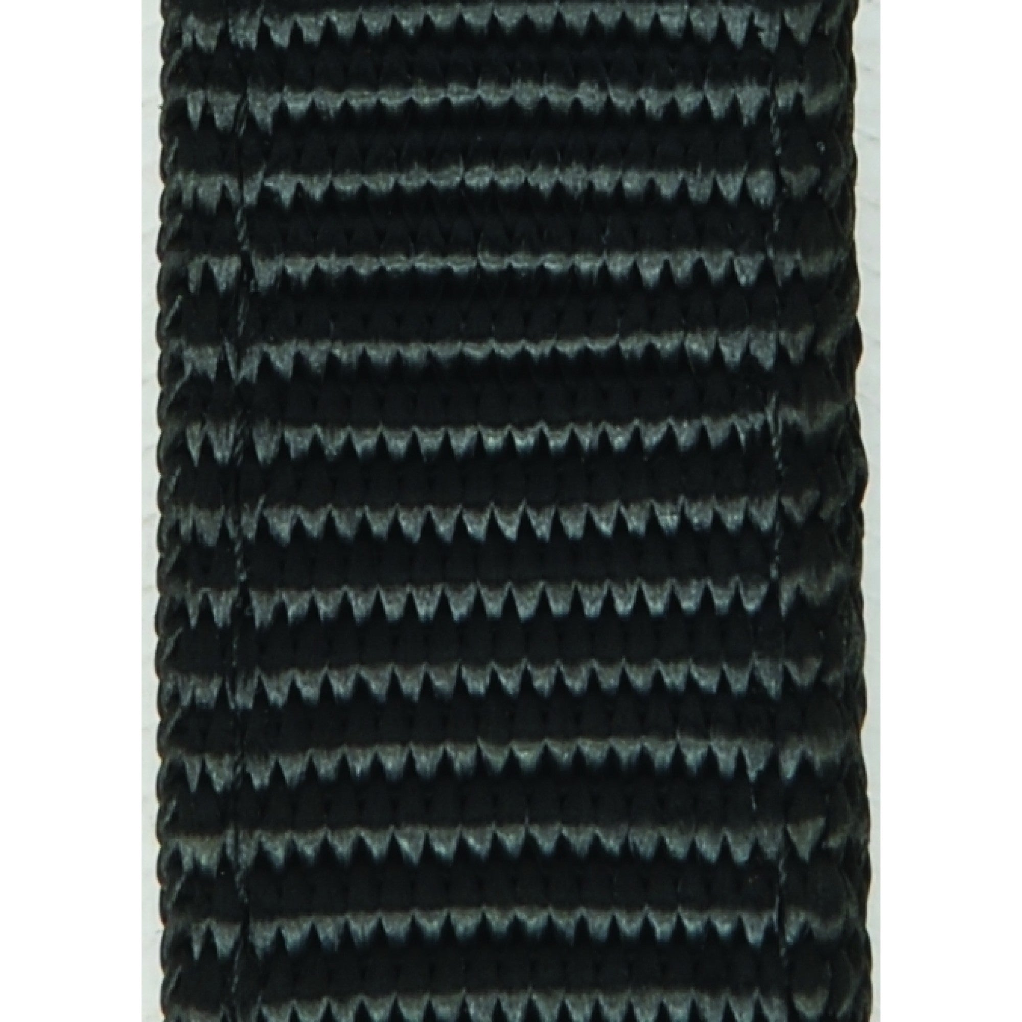 Collier en nylon ultra doux de la marque Cavalier, avec boucle réglable, pour chien ou chat.