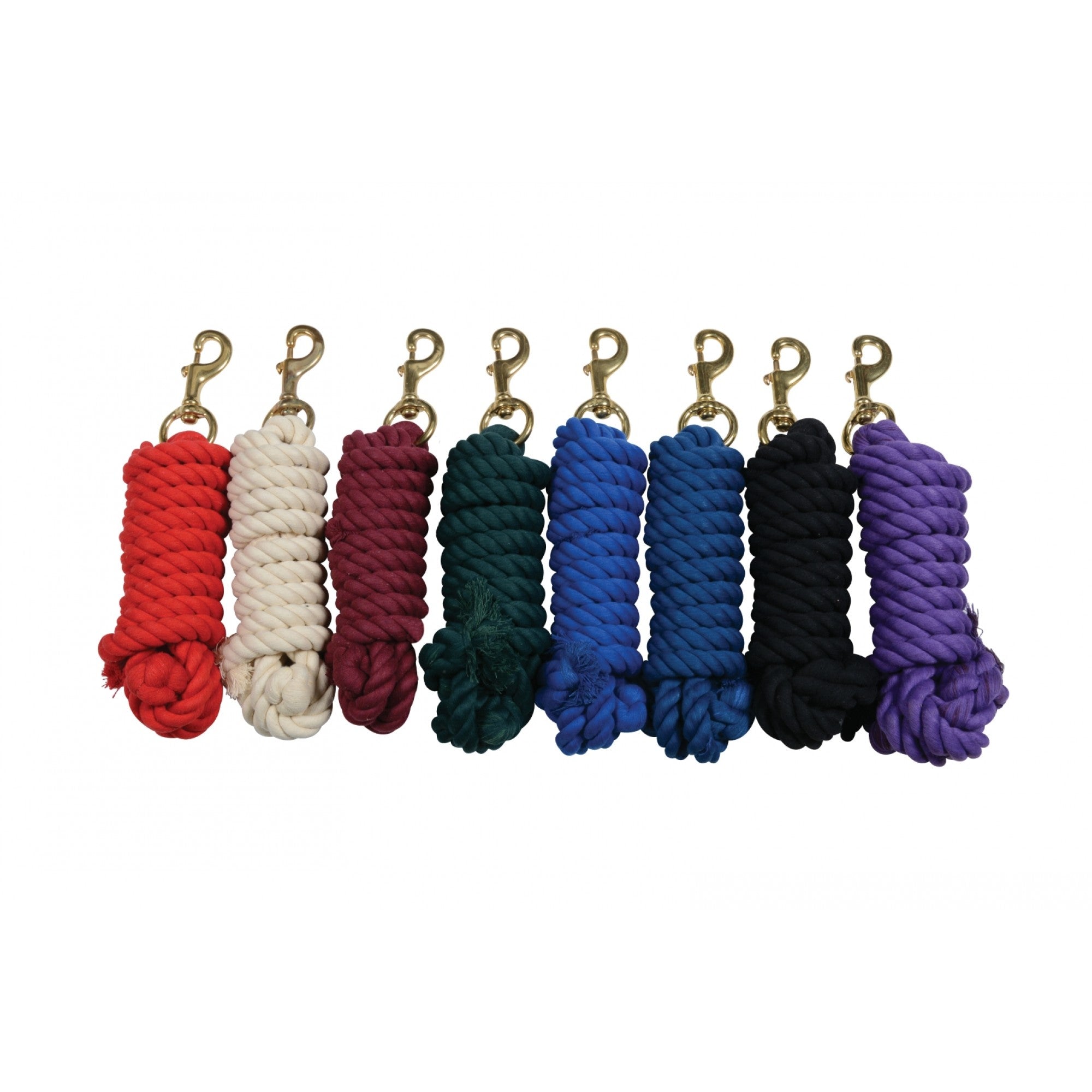 Laisse en coton de 19 mm (3/4 po) avec mousqueton