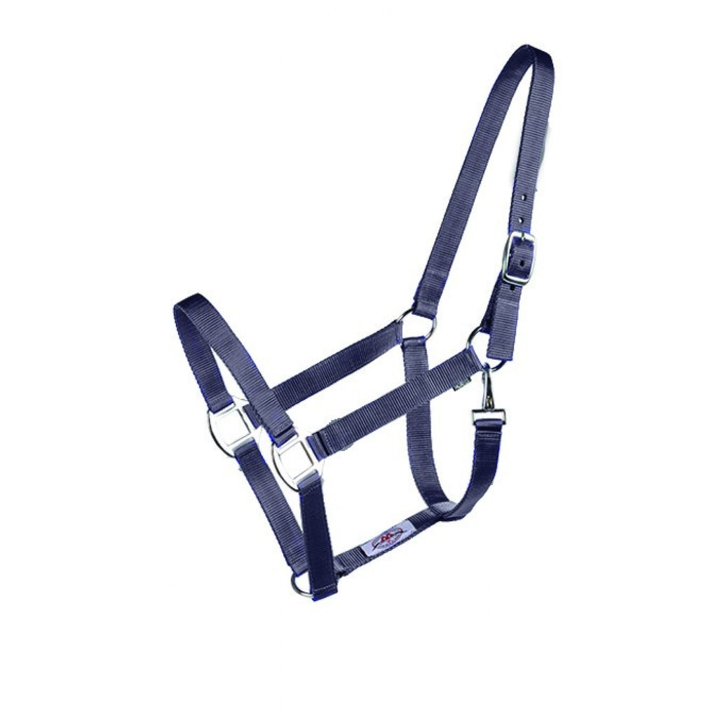 Licou Western Rawhide Econo avec plusieurs couleurs, en cuir robuste, adapté pour l'équitation et le dressage.