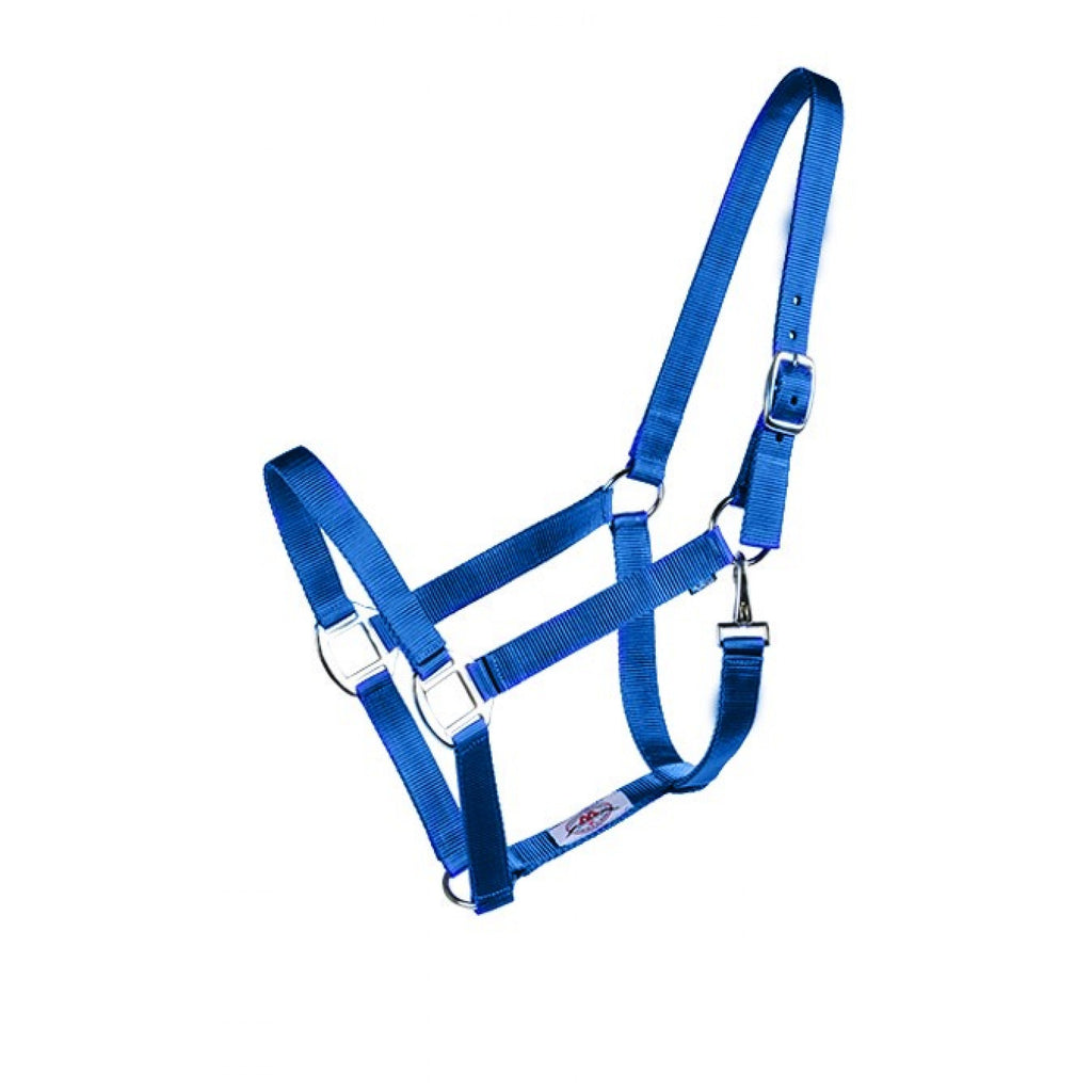 Licou Western Rawhide Econo en plusieurs couleurs, en cuir souple et ajustable, pour l'équitation ou le loisir.