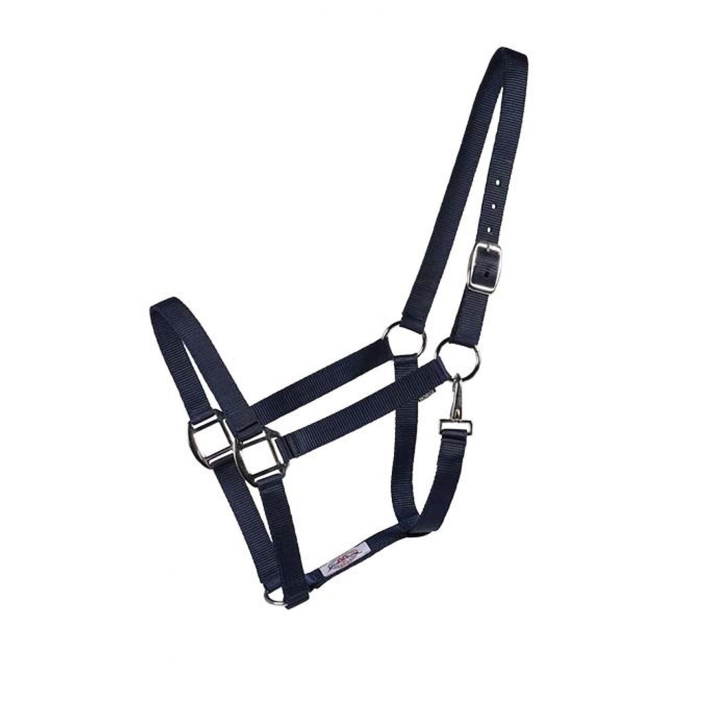 Licou Western Rawhide Econo en plusieurs couleurs, avec bouclerie métallique et design simple pour chevaux.