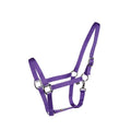 Licou Western Rawhide Econo en plusieurs couleurs, en cuir avec boucle métallique, adapté pour l'équitation ou le travail avec animal.