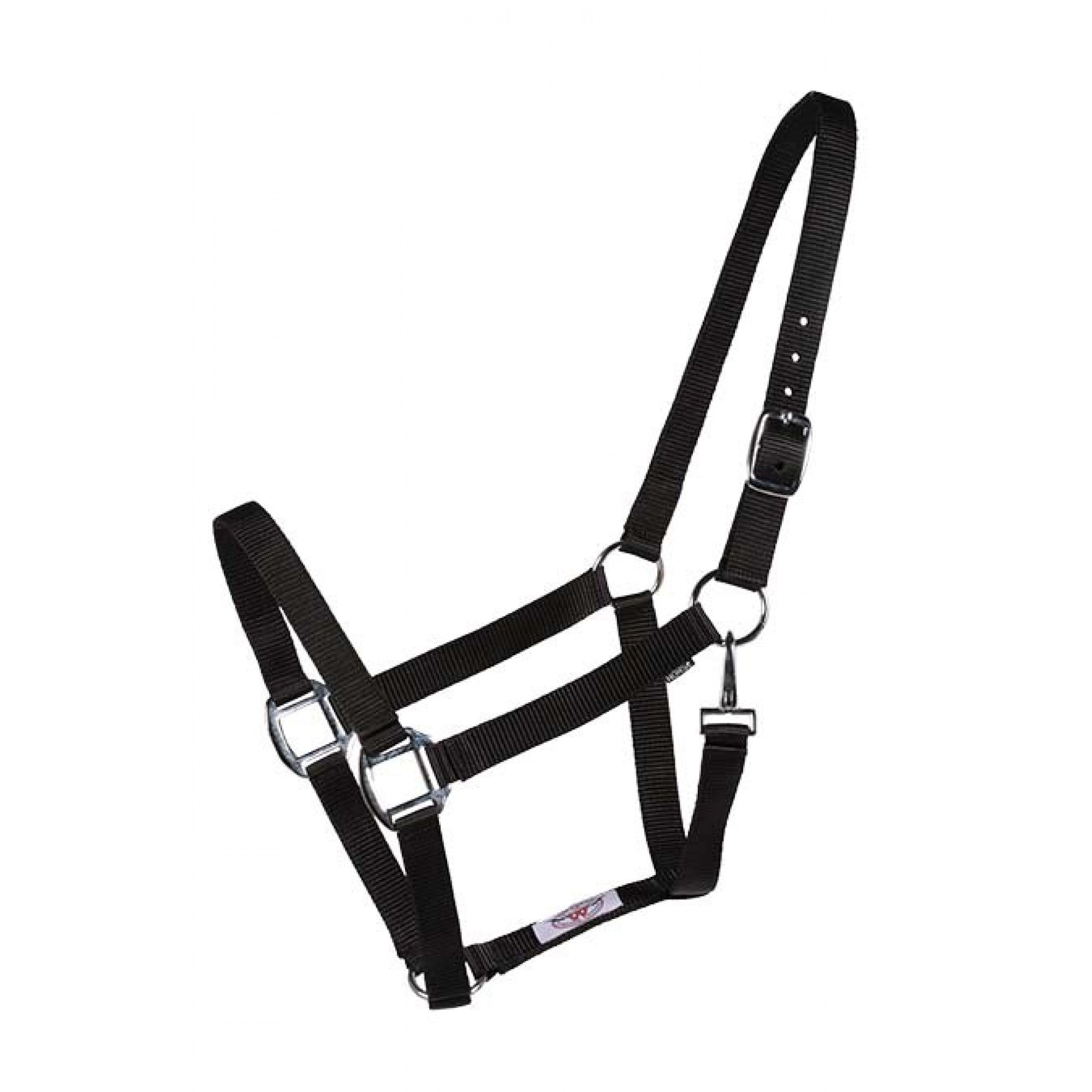 Licou Western Rawhide Econo en plusieurs couleurs, en cuir avec boucles réglables, vue de face.