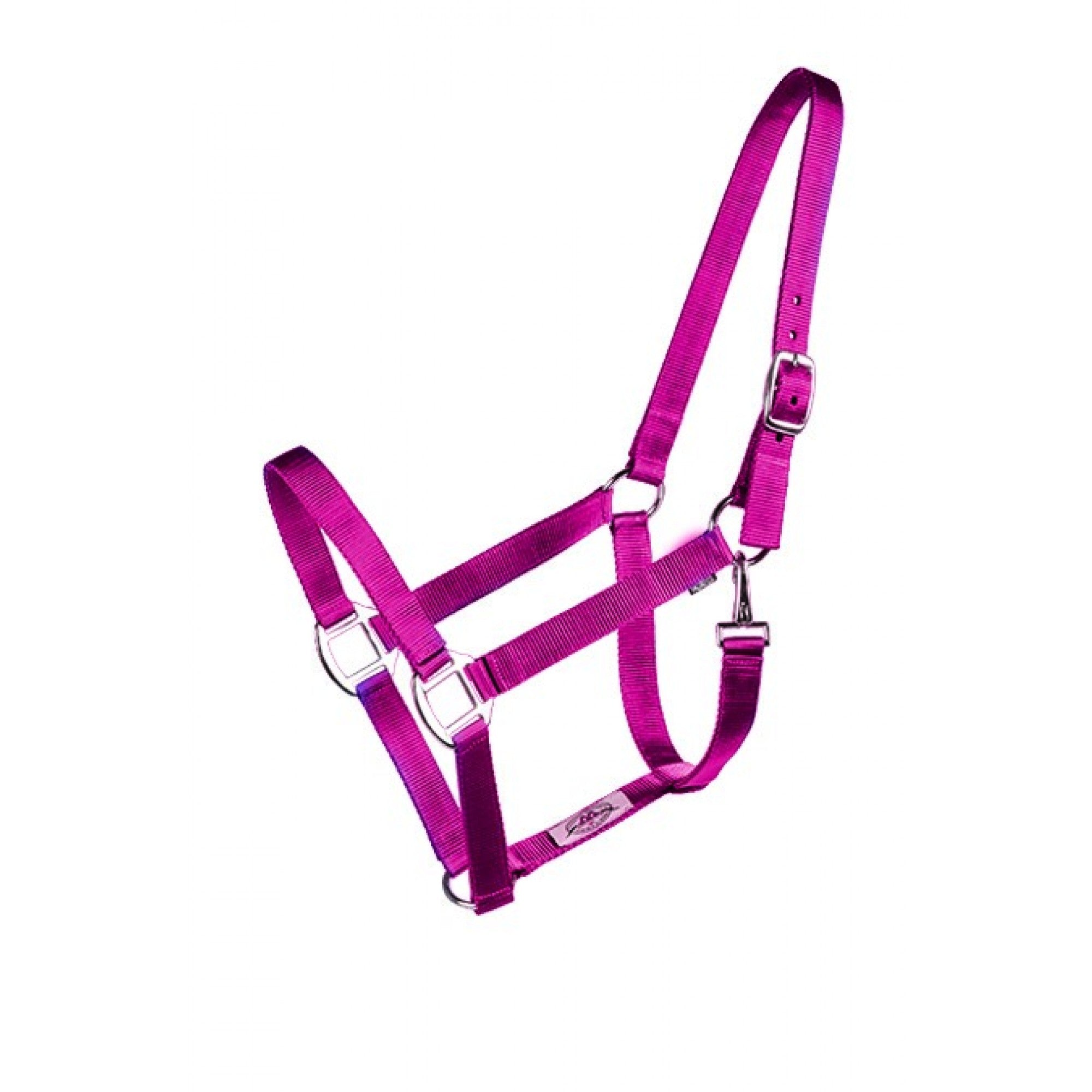Licou Western Rawhide Econo en plusieurs couleurs, avec boucle en cuir et finition résistante, pour l'équitation.
