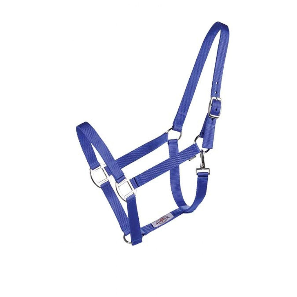 Licou Western Rawhide Econo en plusieurs couleurs, en cuir avec boucle robuste et finition élégante, adapté pour le cheval.