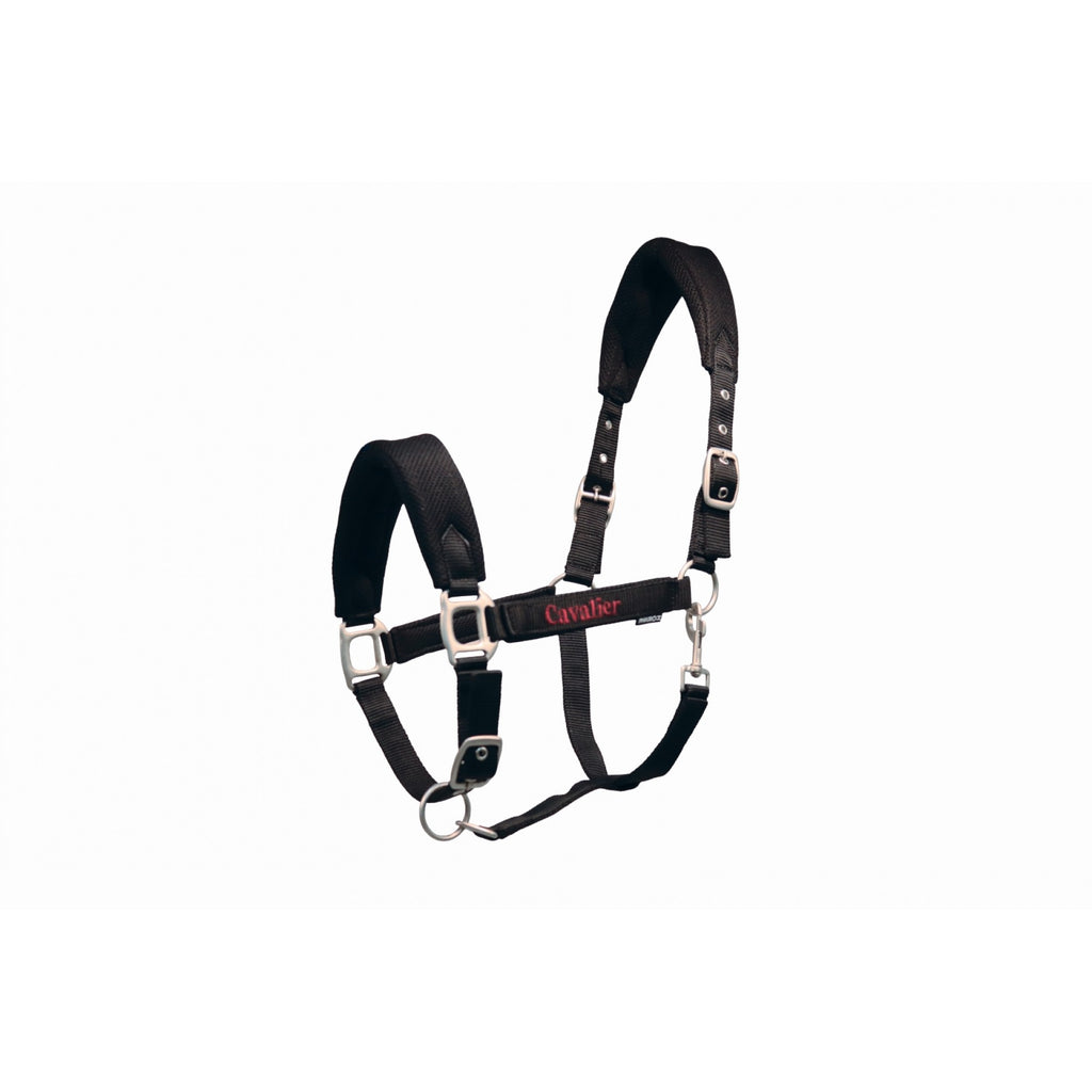 Licou rembourré AirMesh - Cavalier