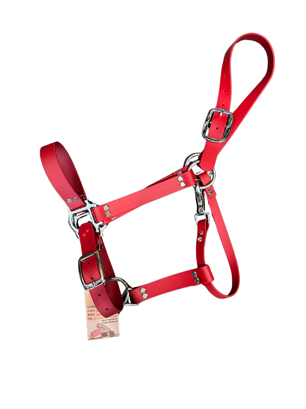 Licou en Biothane uni de l'ES Sellerie Western, accessoire d'équitation, avec boucle et finition solide.