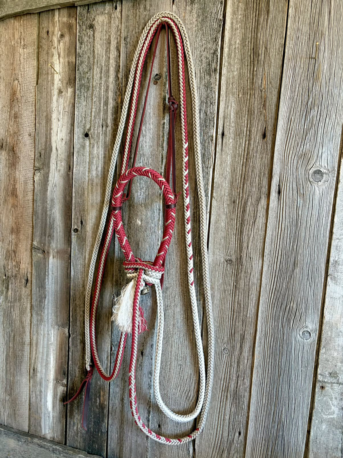 Loping Hackamore 8 strands Ombre Mecate de Slippery Moon Mecates, accessoire équestre avec tresse colorée et design robuste