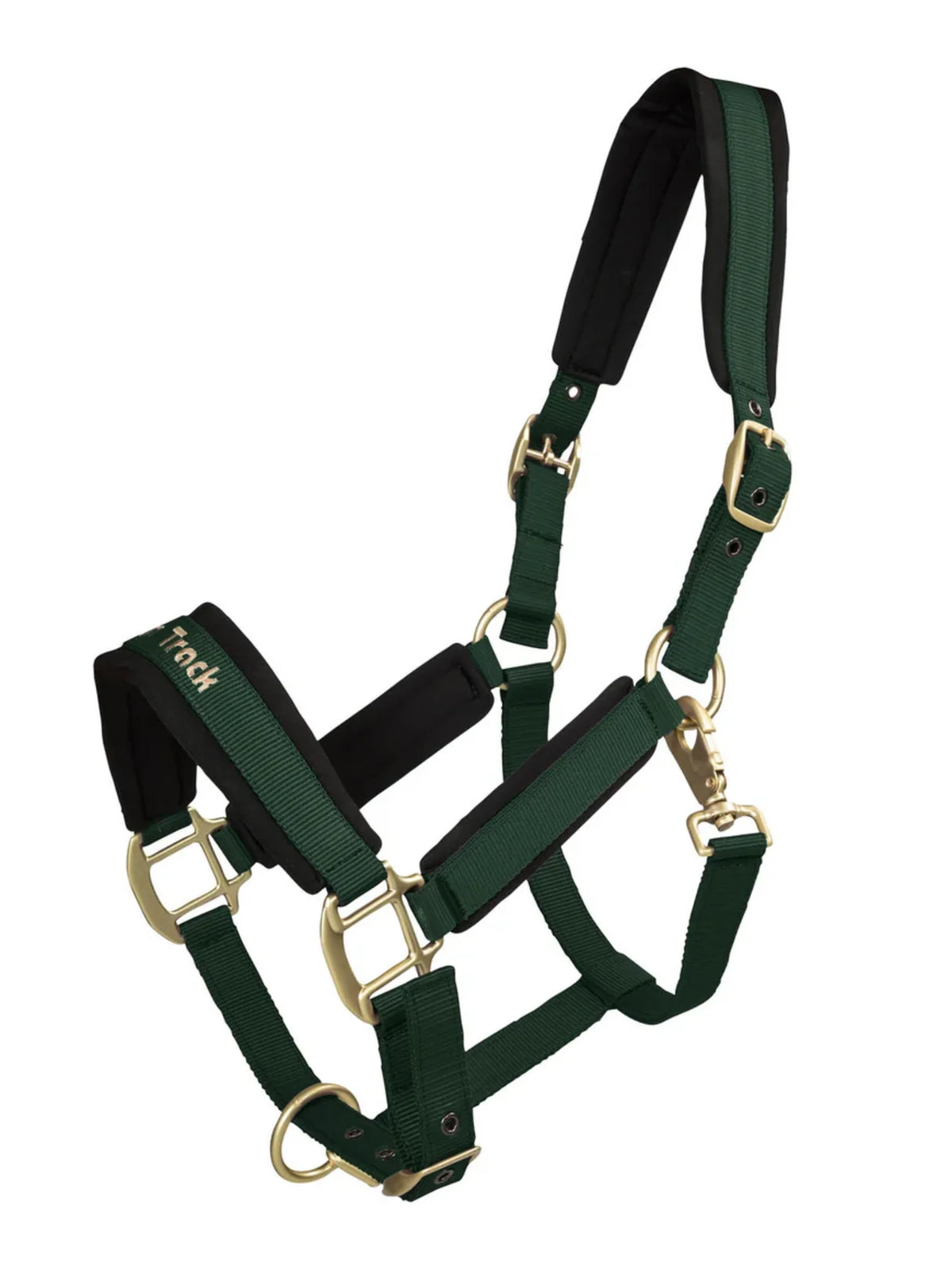 Halter Werano Back On Track en vert hunter, accessoire équestre pour confort et soutien.