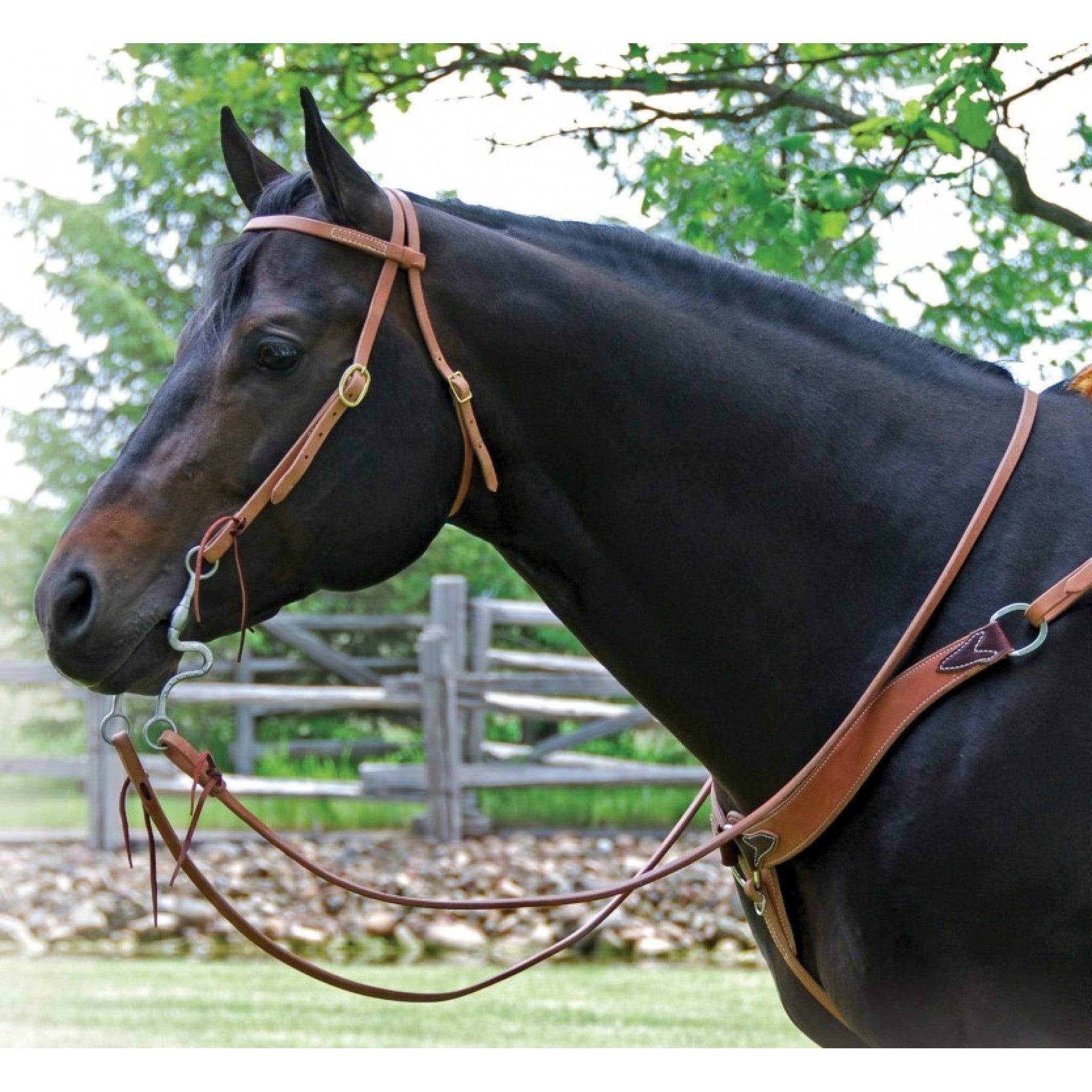 BRICOLE WESTERN RAWHIDE SIGNATURE EN CUIR AVEC DOUBLURE LATIGO - ES Sellerie Western