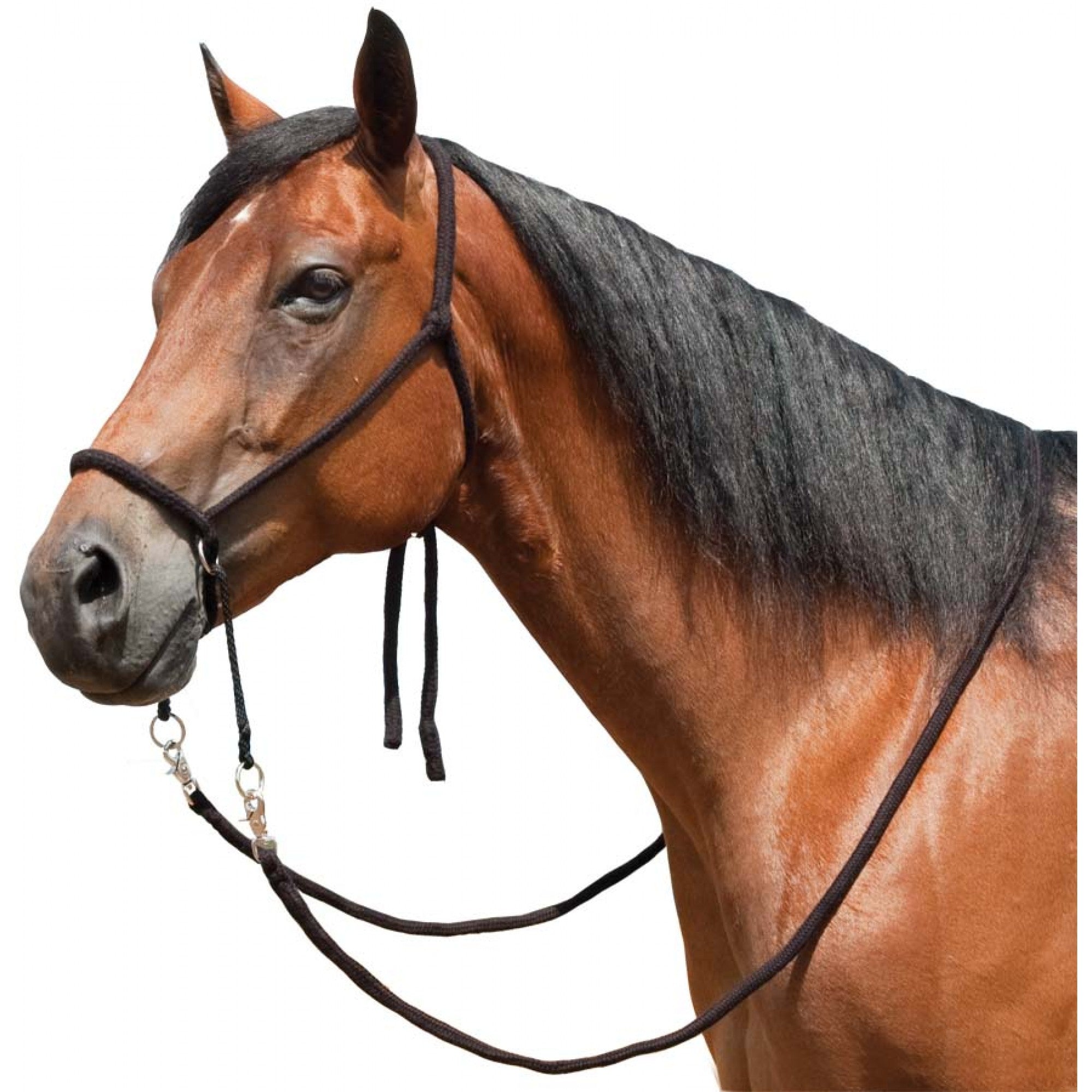 Bridon sans mors avec rênes noires de la marque Western Rawhide, accessoire d'équitation élégant et pratique.