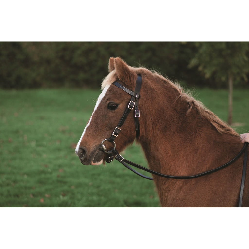 Bride et rênes pour poney Western Rawhide - ES Sellerie Western