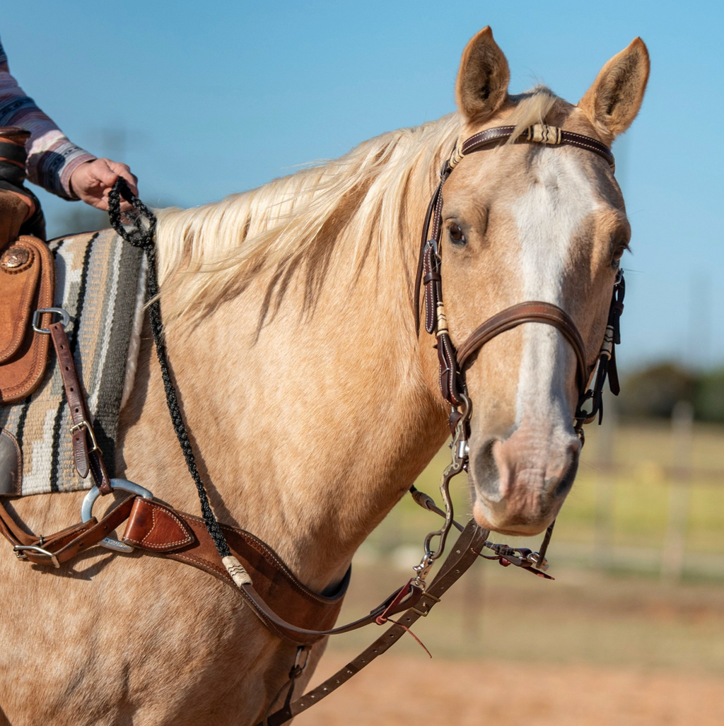 Rênes tressées en nylon et cuir pour équitation, accessoires équestres de marque Equibrand, montrant la texture tressée.