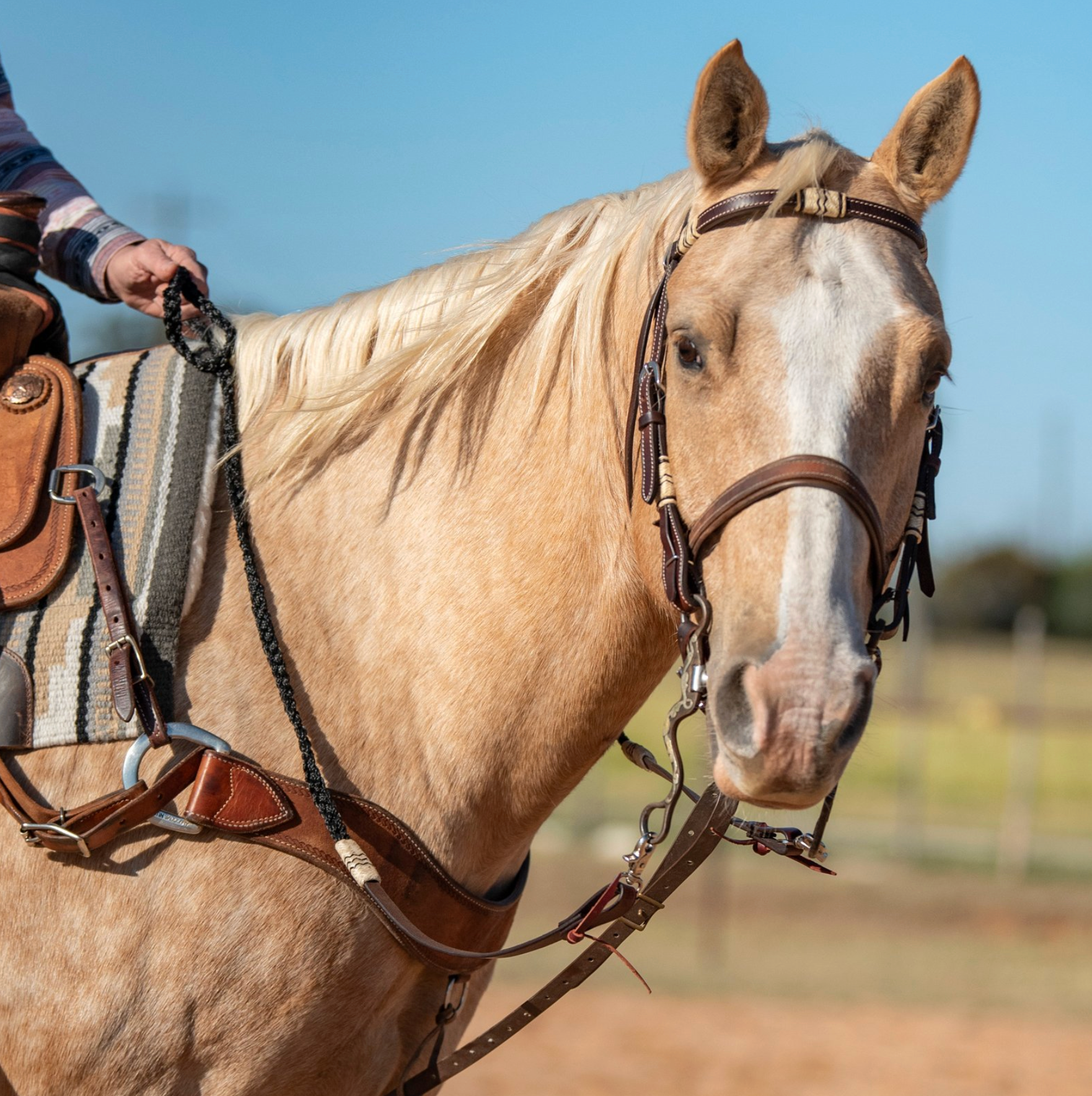 Rênes tressées en nylon et cuir pour équitation, accessoires équestres de marque Equibrand, montrant la texture tressée.