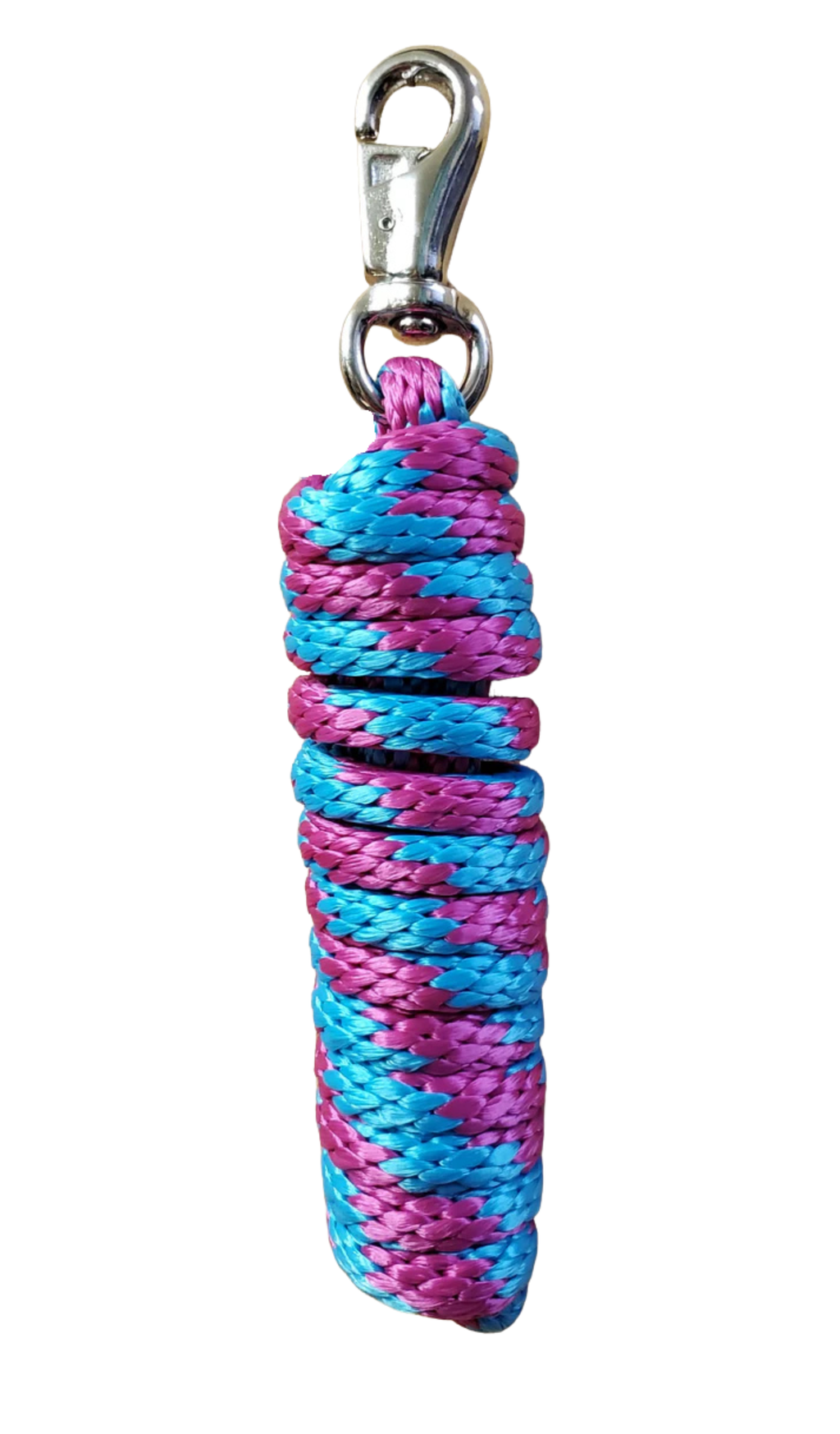 Laisse en nylon avec attache Bull de 10' de la marque Western Rawhide, idéale pour le dressage et la contrôle des chevaux.