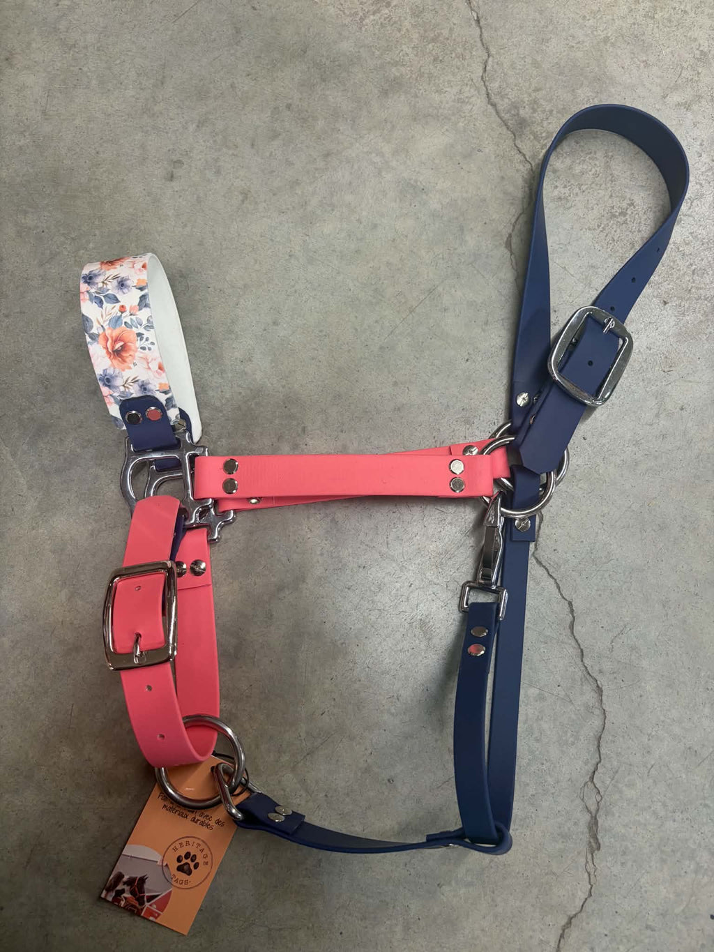 Licou Heritage Tags en Biothane avec motifs colorés, accessoire pour chien, résistant et léger, design élégant.