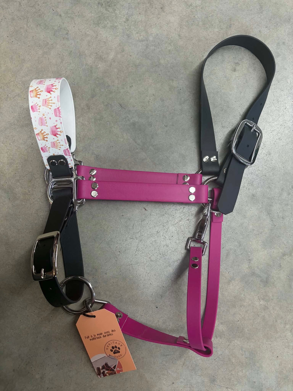 Lévrier portant un licou Biothane avec motifs Heritage Tags, accessoire pour chien, en cuir synthétique coloré et résistant.