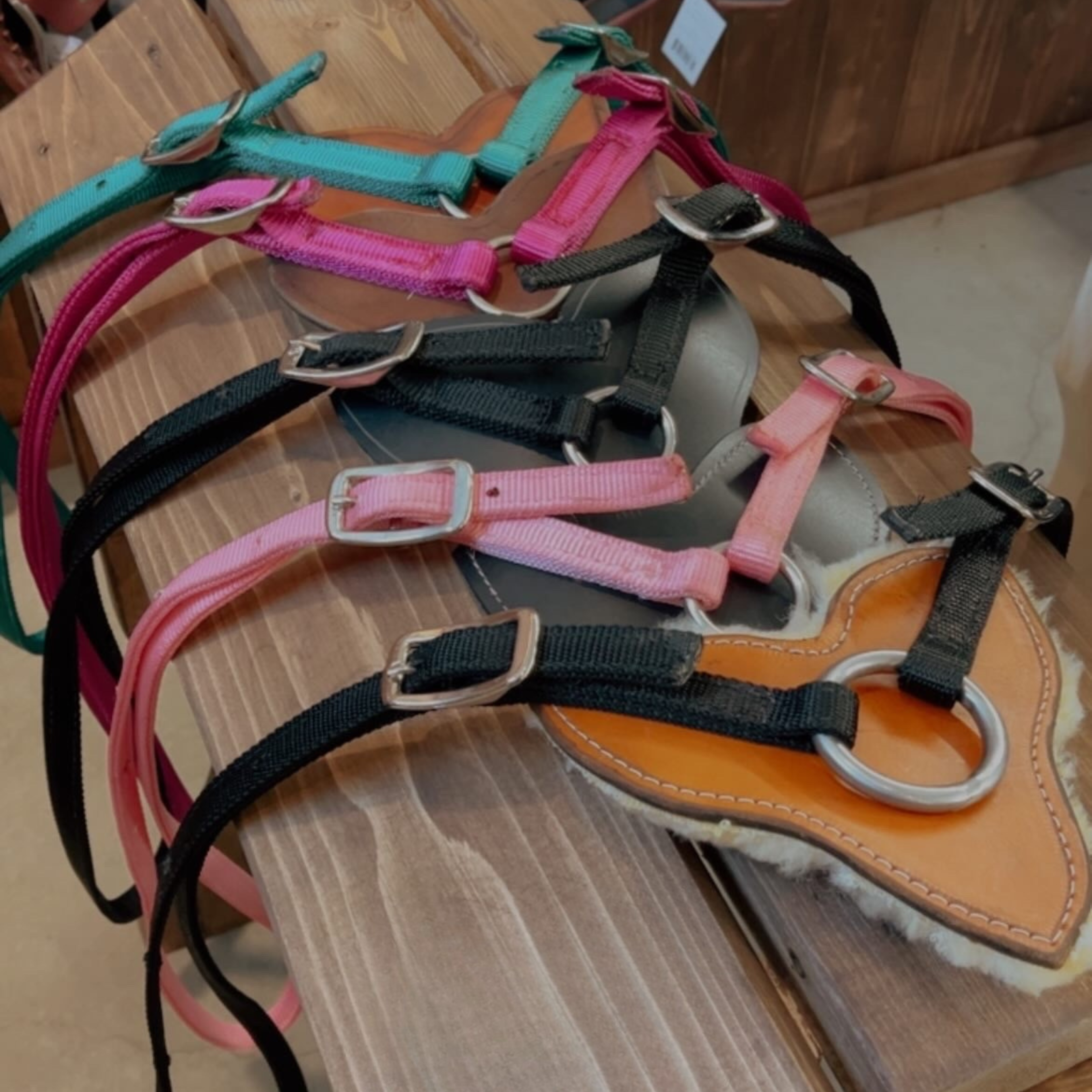 Harnais pour skijoering de la marque ES Sellerie Western, équipement équestre pour le ski de trail ou de vitesse.