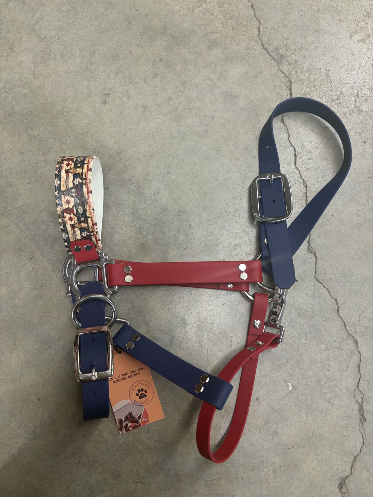 Licou Biothane avec motifs de la marque Heritage Tags, accessoire pour chien, affichant des motifs colorés et résistants.