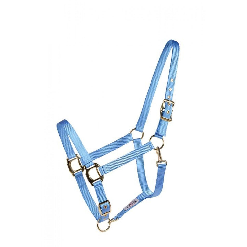 Licou Country Legend Soft-Touch de Western Rawhide en bleu, matière douce pour le confort de votre cheval.