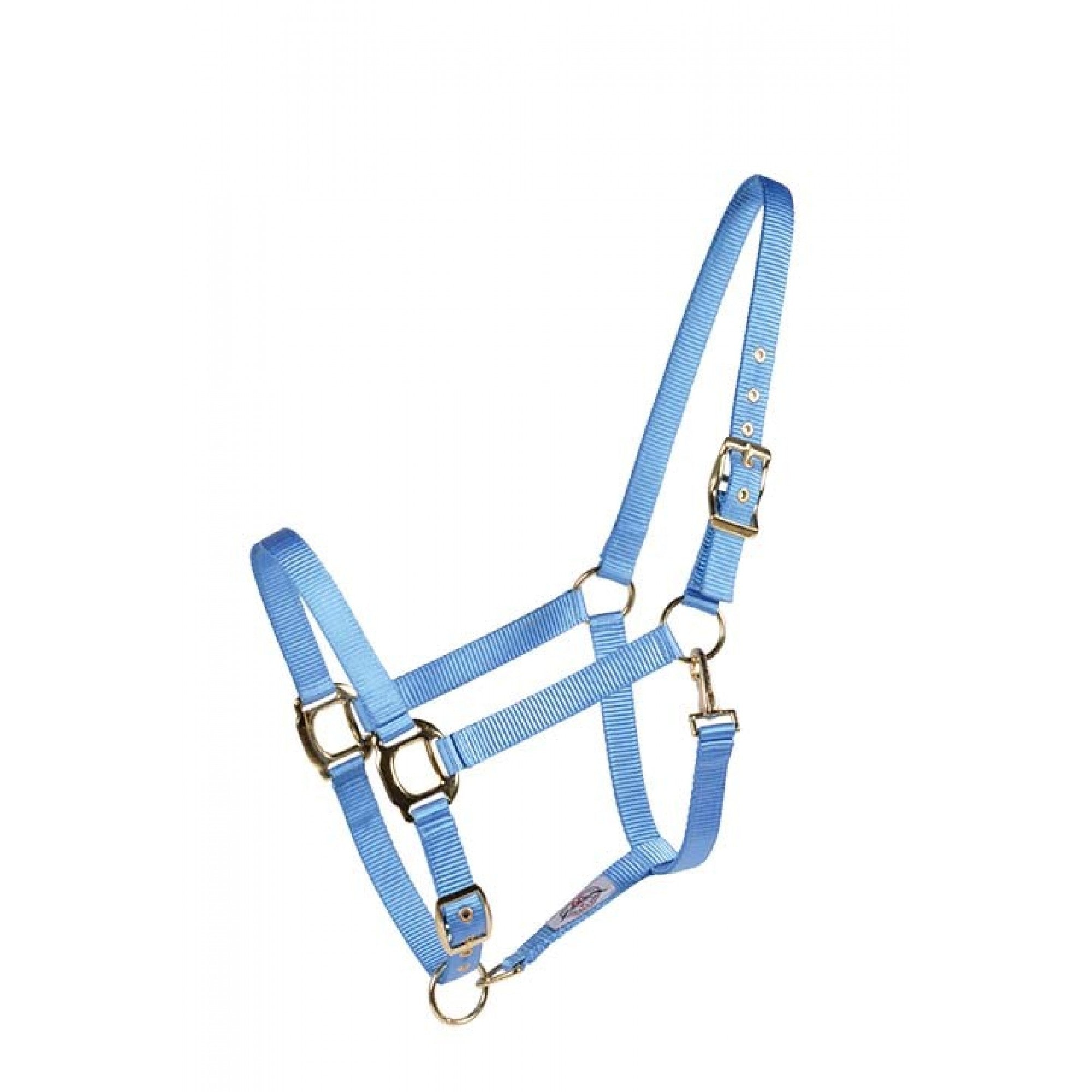 Licou Country Legend Soft-Touch de Western Rawhide en bleu, matière douce pour le confort de votre cheval.