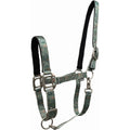 Licou Cactus Country Legend en cuir pour cheval, fabriqué par Western Rawhide, avec motif cactus visible sur le licol.