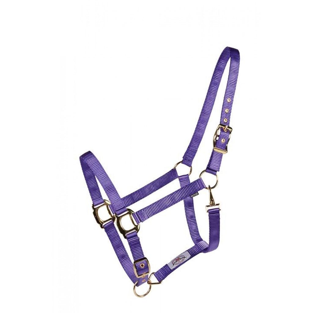 Licou Country Legend Soft-Touch de Western Rawhide en mauve, confortable et doux, disponible en plusieurs couleurs.