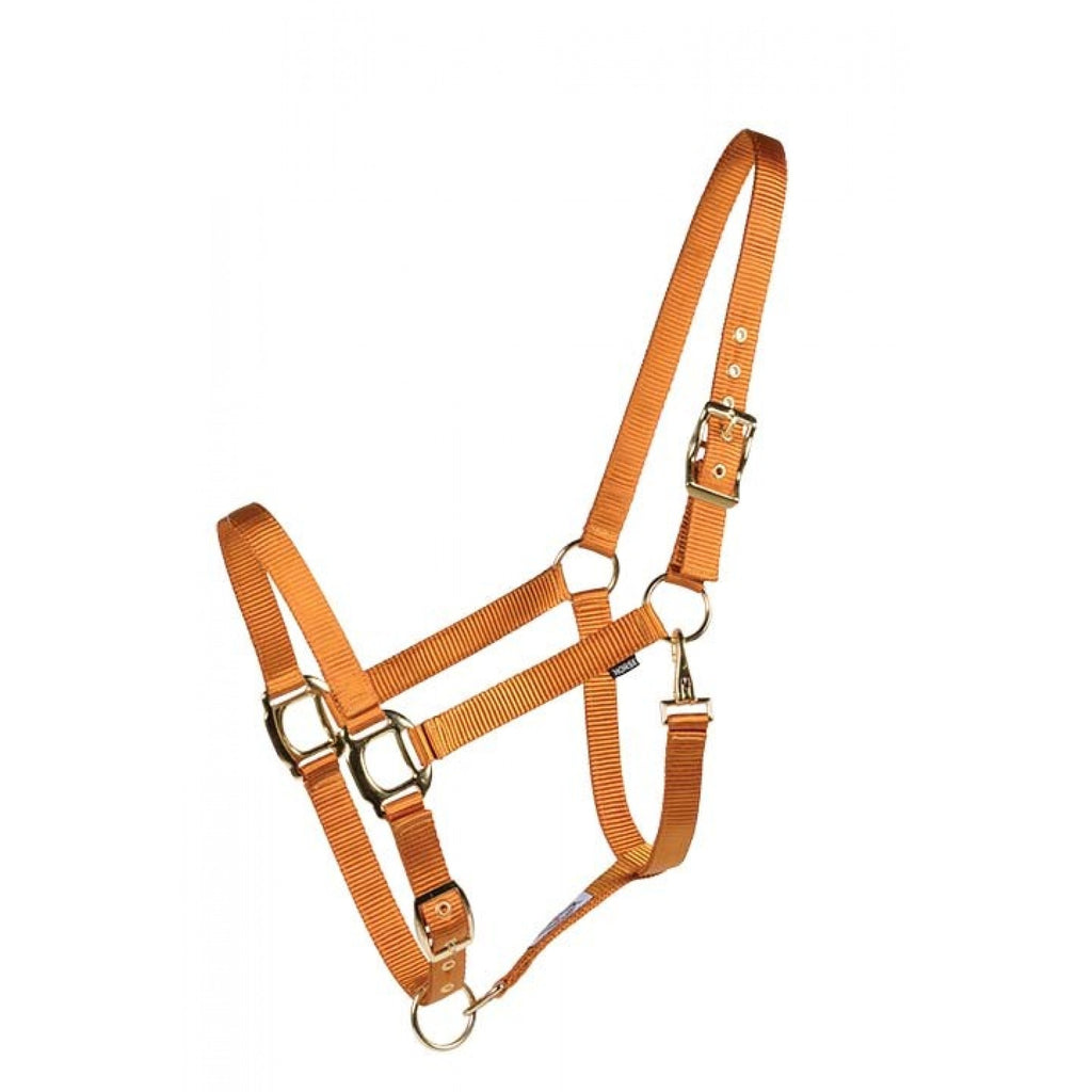 Licou Country Legend Soft-Touch Western Rawhide en moutarde, avec plusieurs couleurs disponibles, conçu pour le confort et le style.