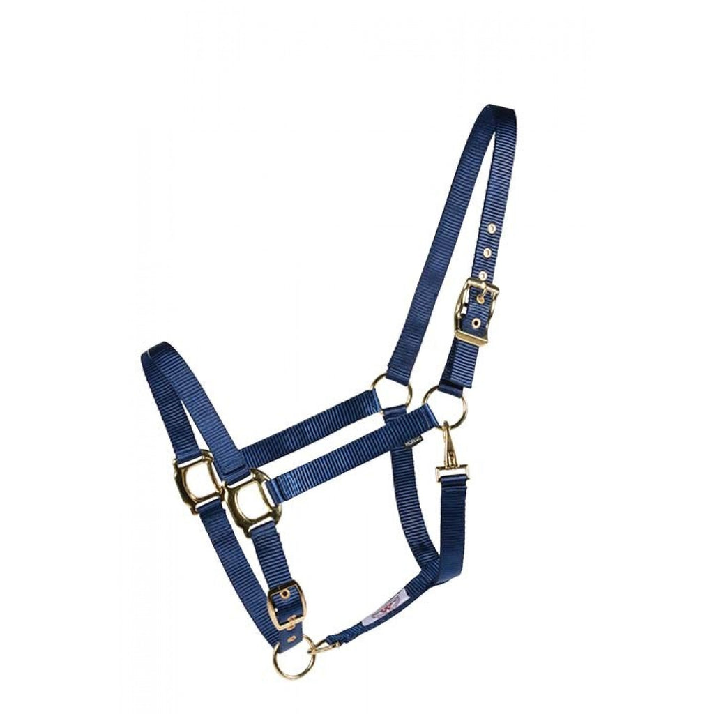 Licou Country Legend Soft-Touch Western Rawhide en bleu marine, doux et confortable pour chevaux, multiple couleurs disponibles.