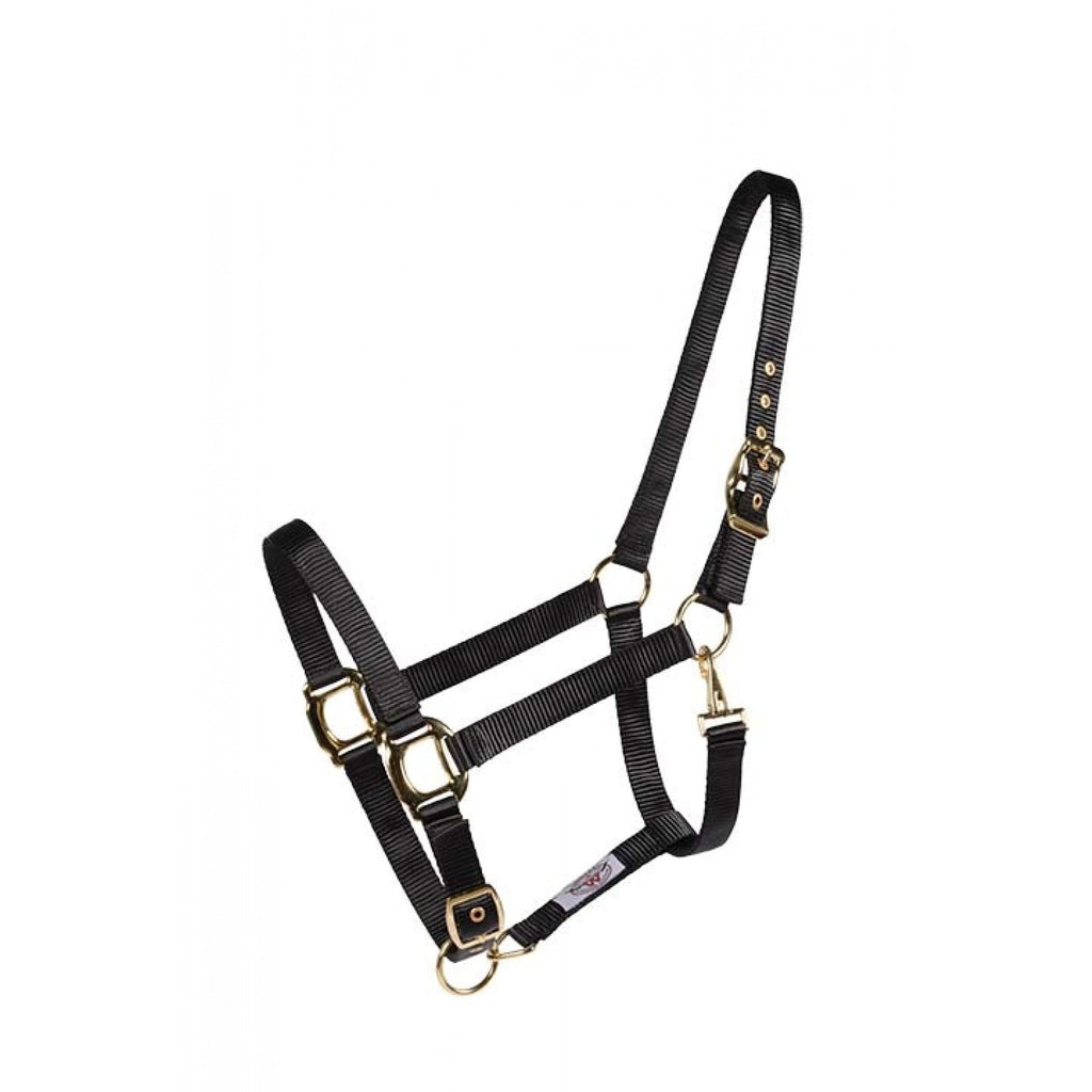 Licou Country Legend soft-touch noir pour chevaux, en cuir Western Rawhide, visible en image.