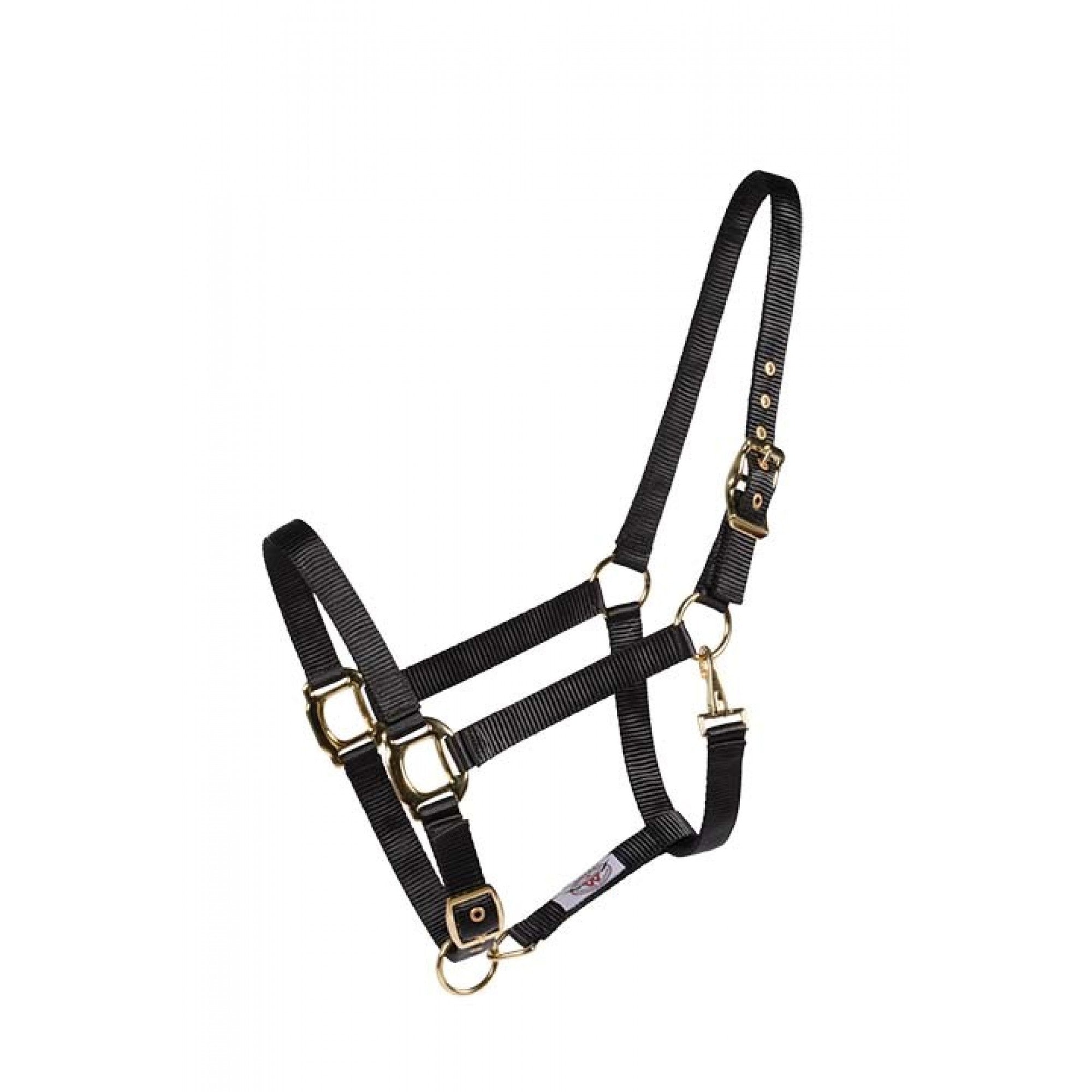 Licou Country Legend soft-touch noir pour chevaux, en cuir Western Rawhide, visible en image.