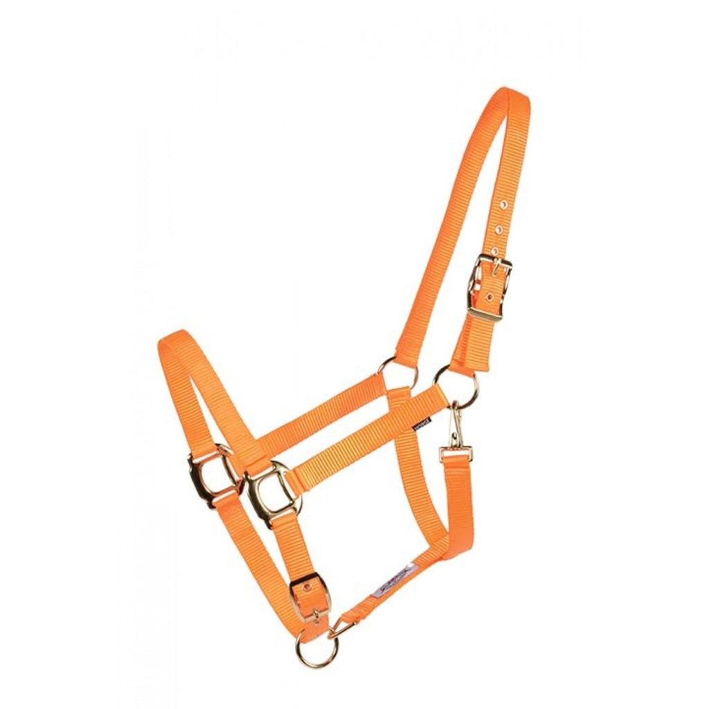 Licou Country Legend Soft-Touch de Western Rawhide en orange, confortable et doux, disponible en plusieurs couleurs.