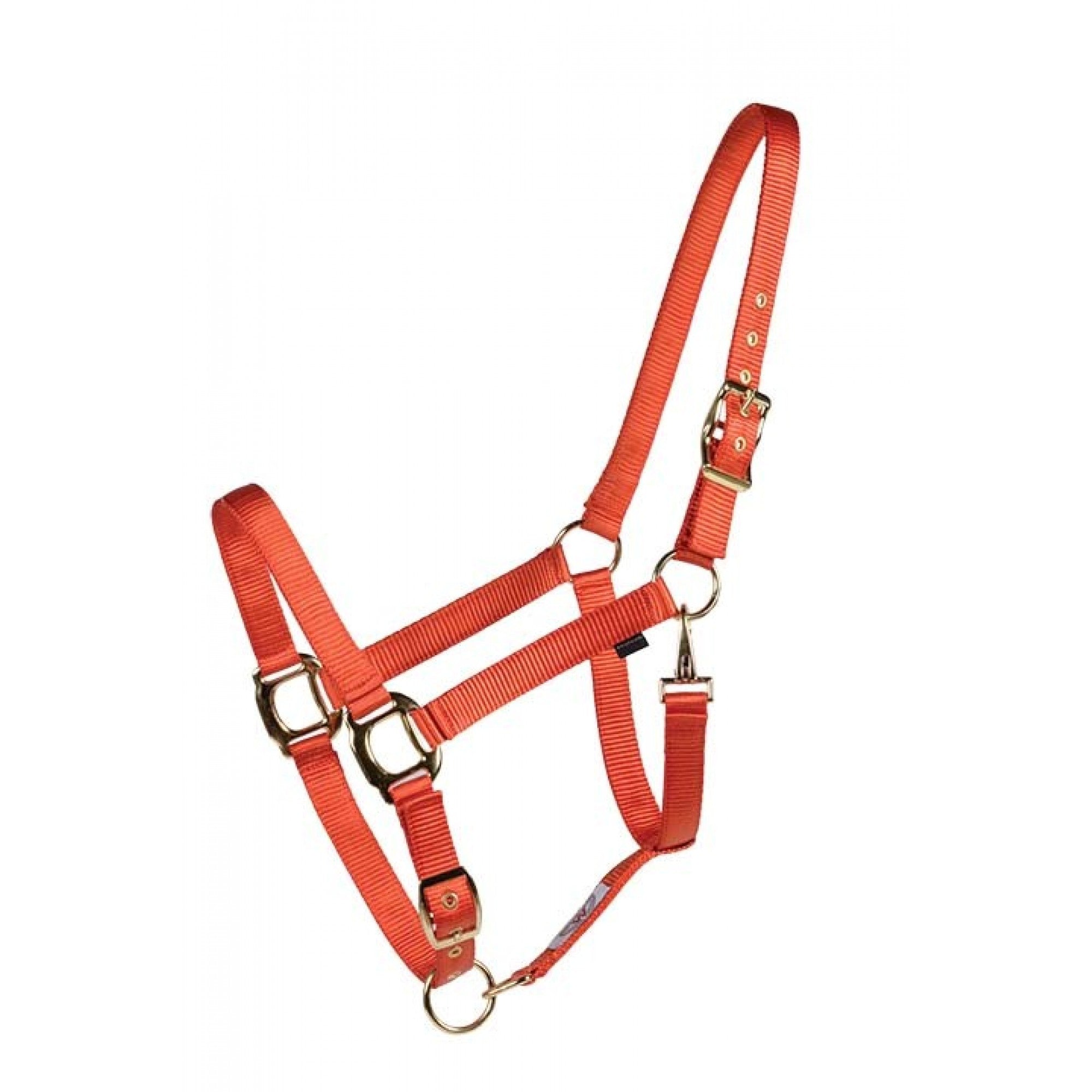 Licou Country Legend Soft-Touch Western Rawhide de couleur orange brûlée, doux au toucher, pour équitation et équipement western.
