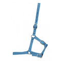 Licou Western Rawhide pour poulain en bleu bébé, en cuir durable, adapté pour la gestion et le soin des jeunes chevaux.