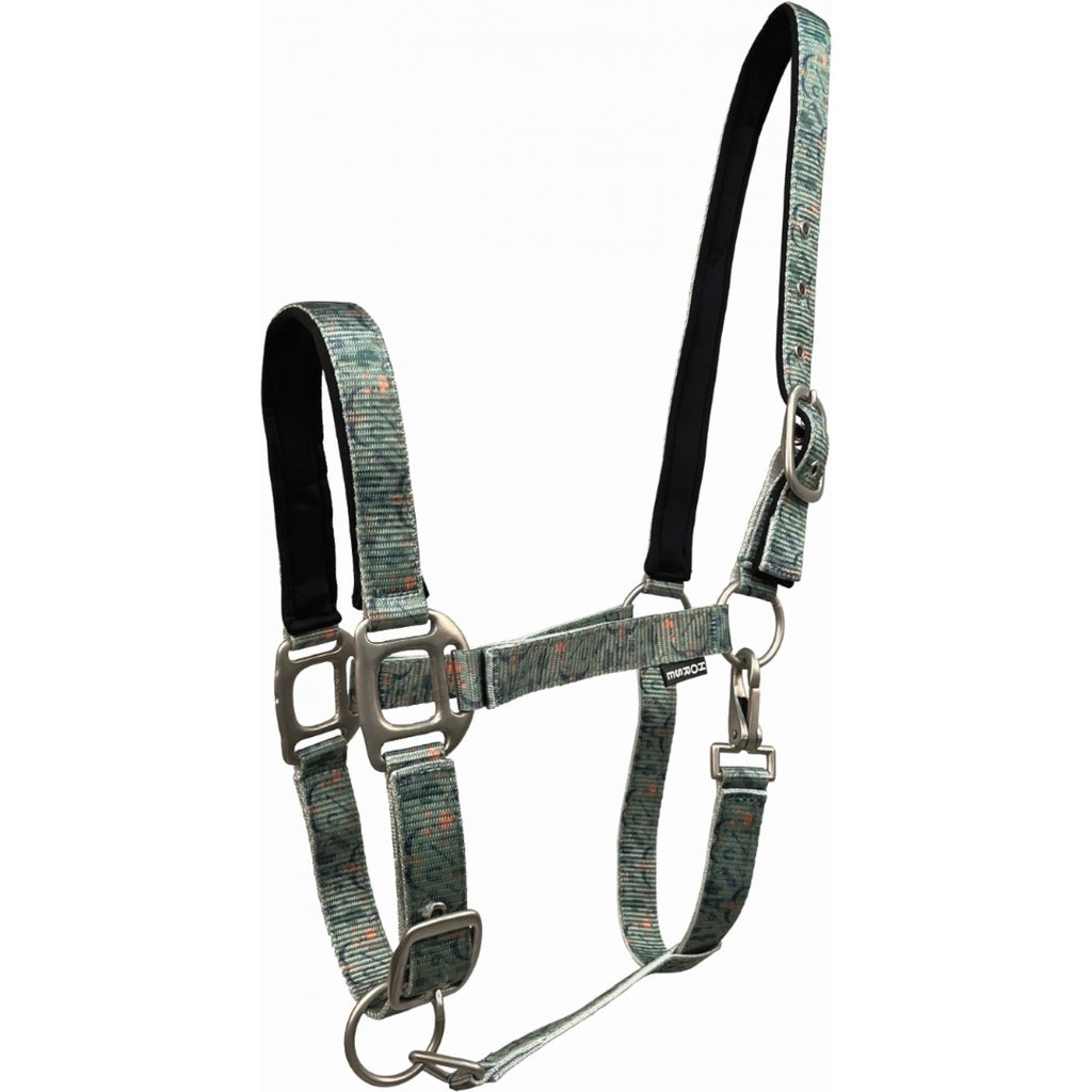 Licou Cactus Country Legend de Western Rawhide, en vert sauge, avec design robuste pour l'équitation et l'entraînement.