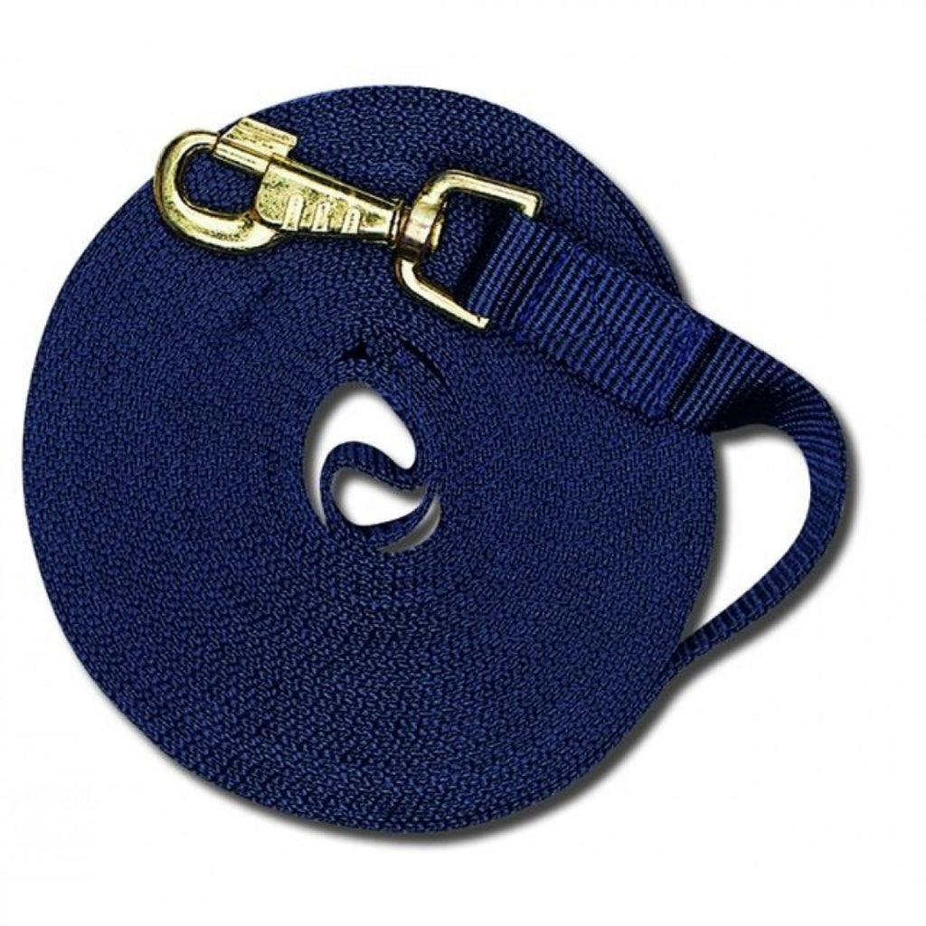 Longe noire de 30 pouces avec mousqueton, accessoire pour l'équitation de la marque Cavalier, suspendue sur fond blanc.
