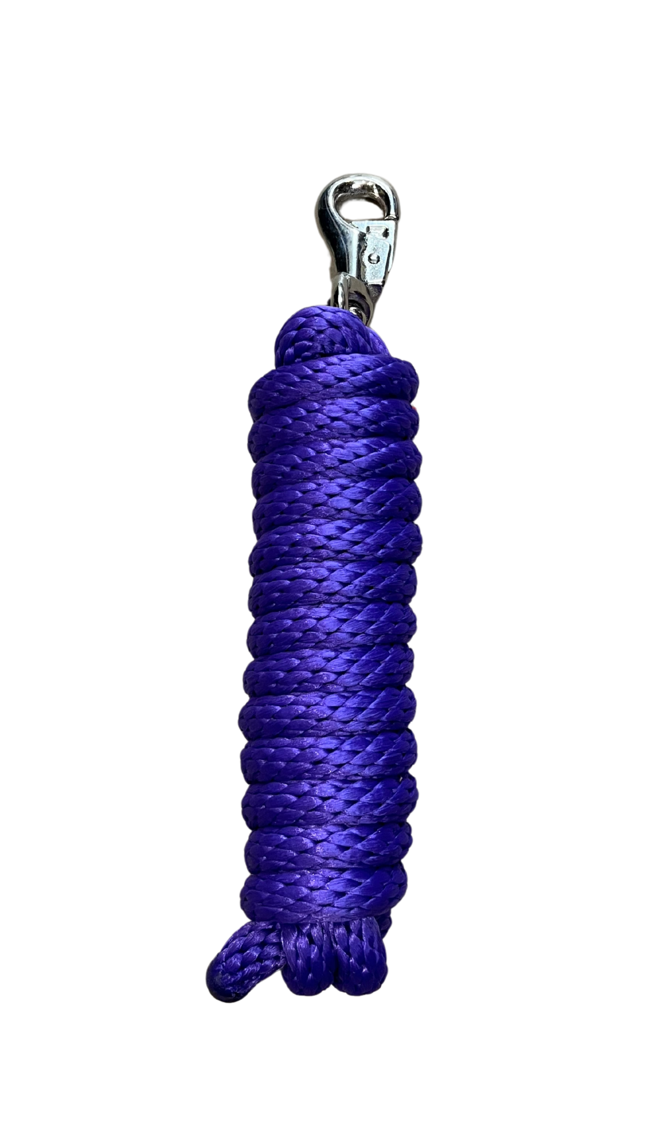 Laisse en nylon mauve avec attache Bull pour licols, 10 pieds, fabriquée par Western Rawhide, adaptée pour le dressage.