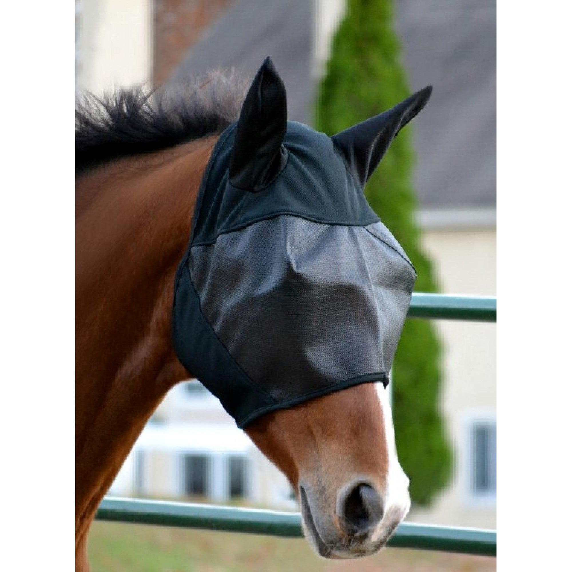 Masque anti-mouches Absorbine Ultrashield avec cache-oreilles pour chevaux, accessoire Western Rawhide, protection contre les insectes.