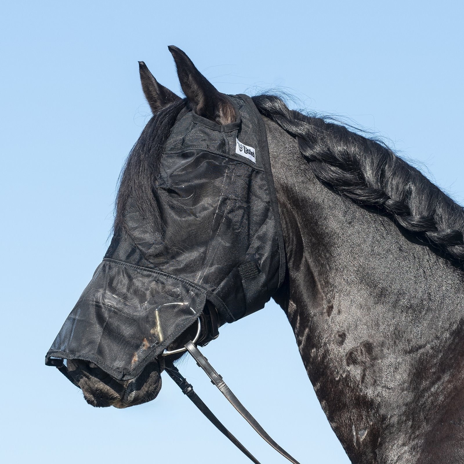 Masque anti-mouches Quiet Ride à long nez pour chevaux, accessoire équestre de la marque Equibrand.