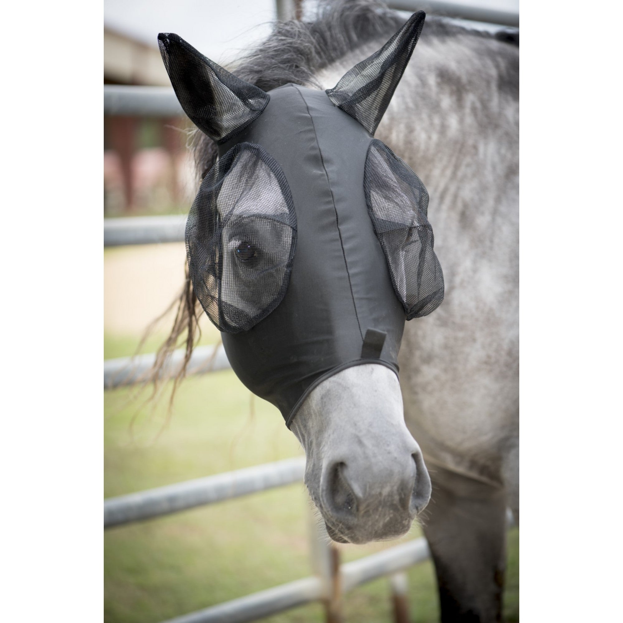 Masque anti-mouches en lycra EQUI-SKY avec oreilles, accessoire Western Rawhide pour chevaux, protection contre les insectes.
