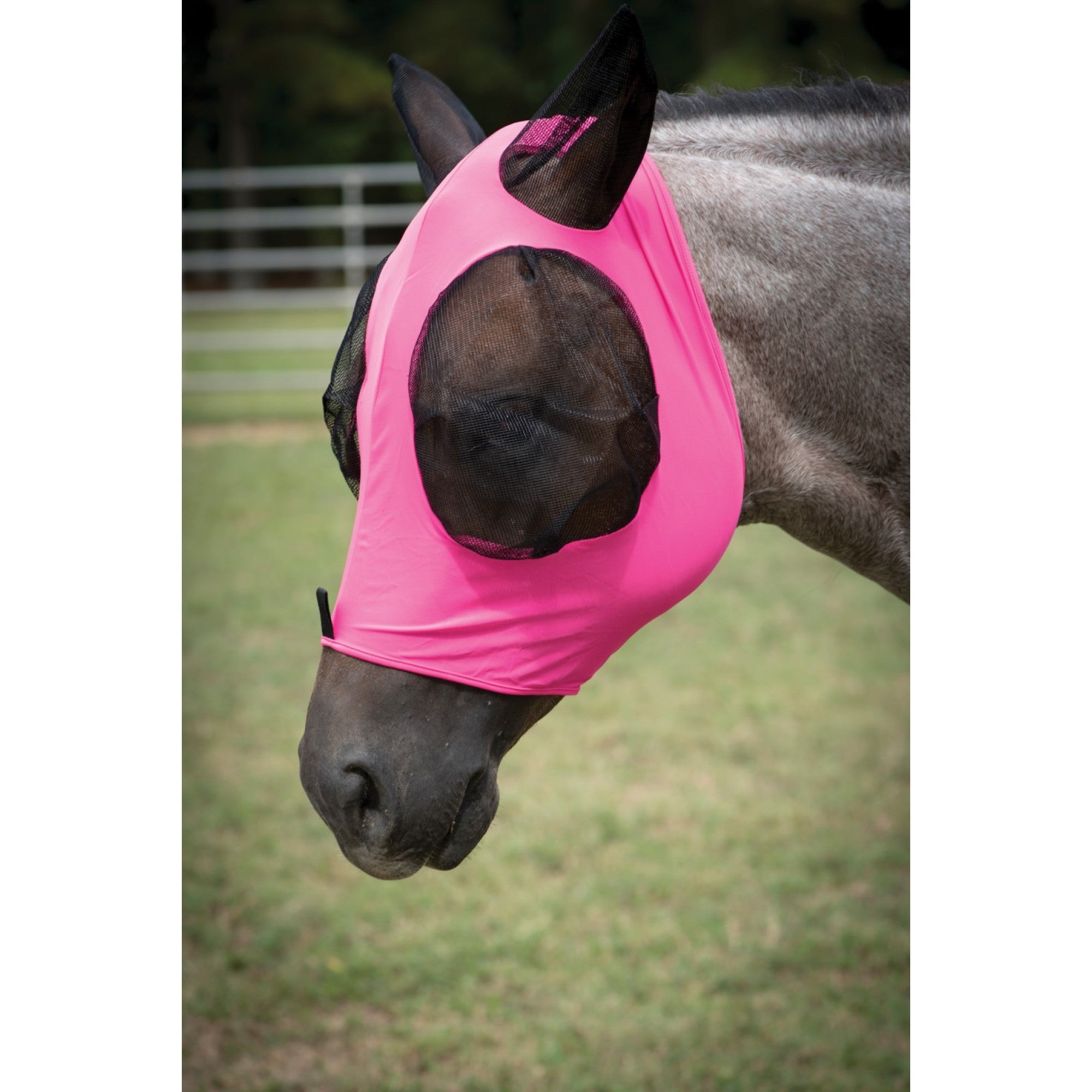 Masque anti-mouches en lycra EQUI-SKY avec oreilles roses, accessoires Western Rawhide pour équitation.
