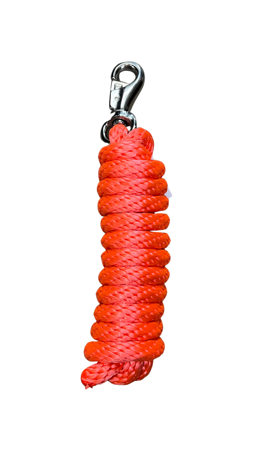 Laisse en nylon orange avec attache Bull, 10 pieds, pour licol, marque Western Rawhide, visible sur fond blanc