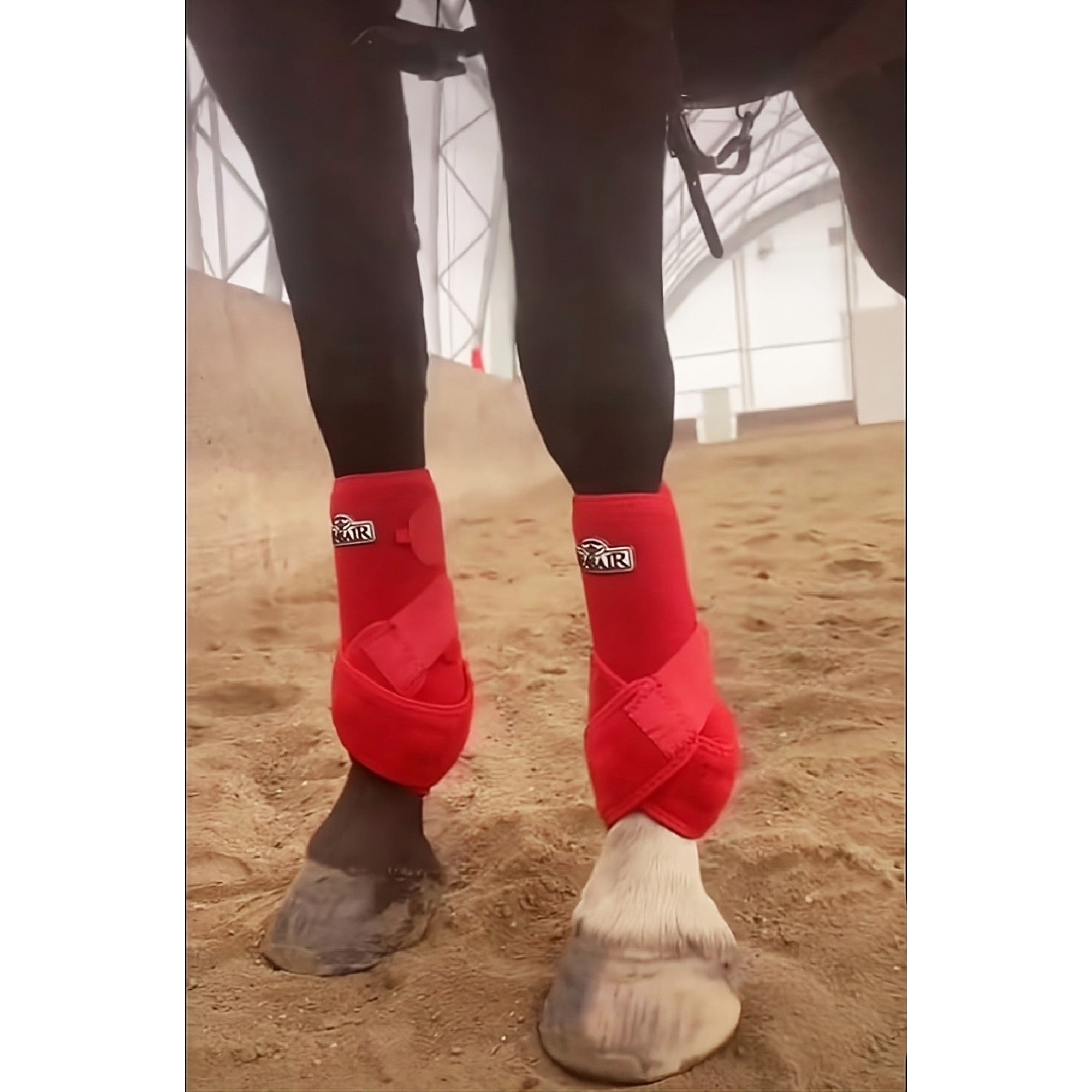 Gouttière de protection rouge Western Rawhide, accessoire pour chevaux, en cuir durable et résistant.