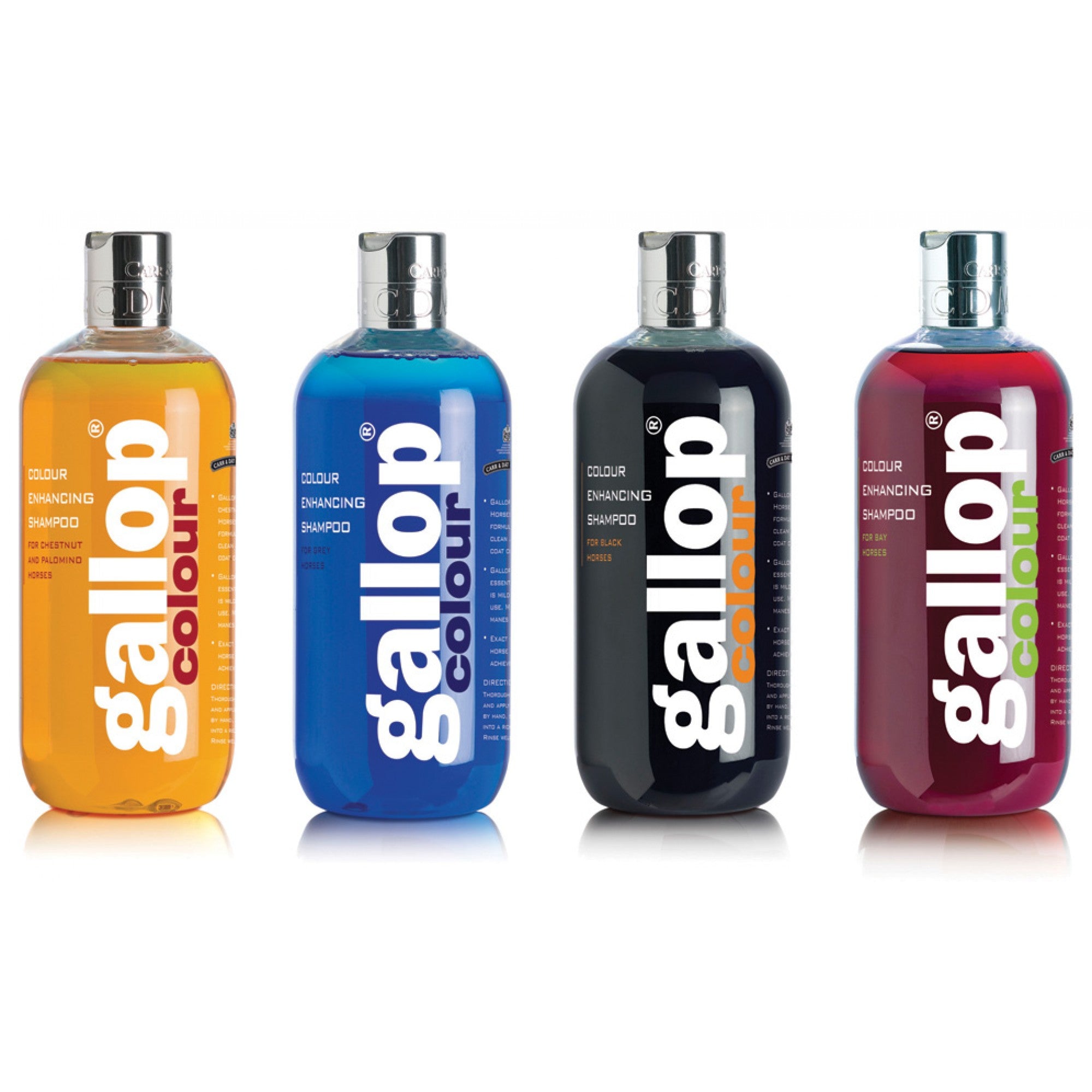 Shampoing rehausseur de couleur Carr & Day & Martin Gallop pour chevaux, 500 ml, soin pour cheveux colorés.