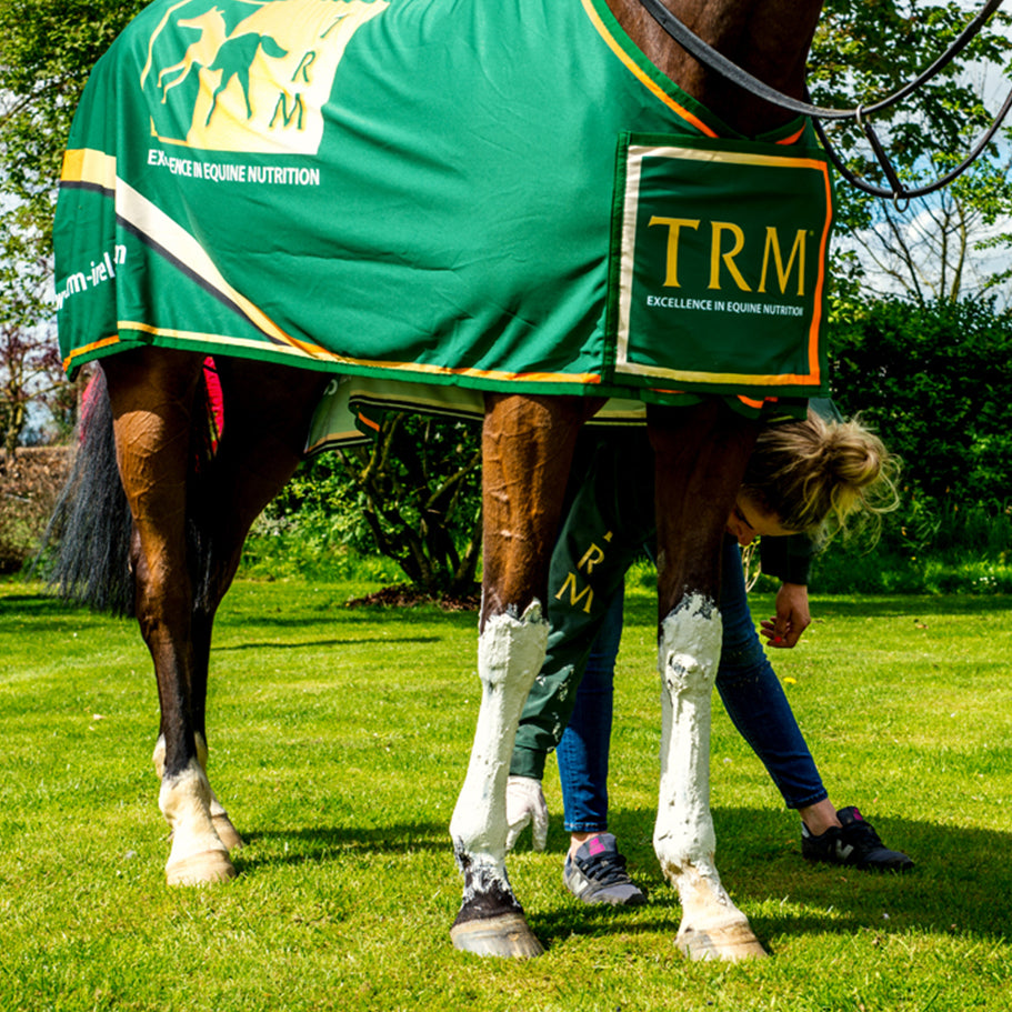 Poultice pour les pattes Stay Sound TRM 5KG